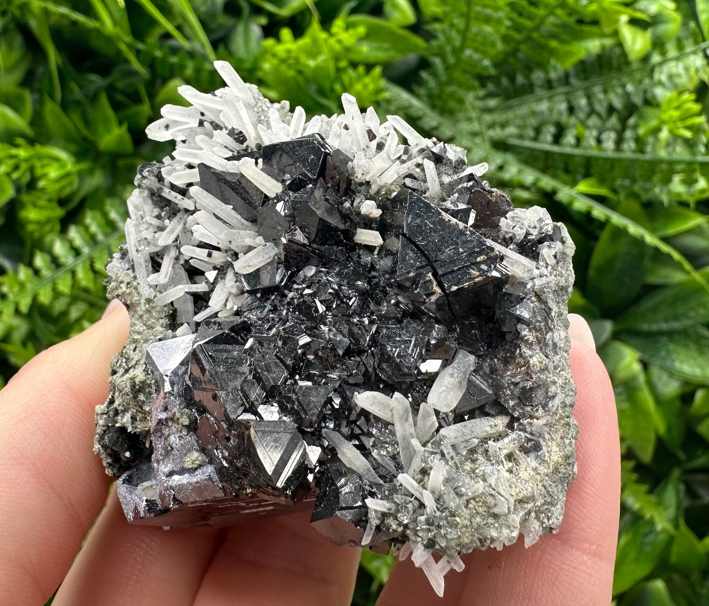 Borieva Sphalerite on Quartz: Rare Mineral Cluster