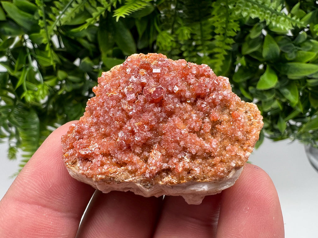 Red Vanadinite on Barite from Marocco,crystal minerals Speciment cluster Vanadinite crystal Vanadinite Geology Vanadinite cluster minerals