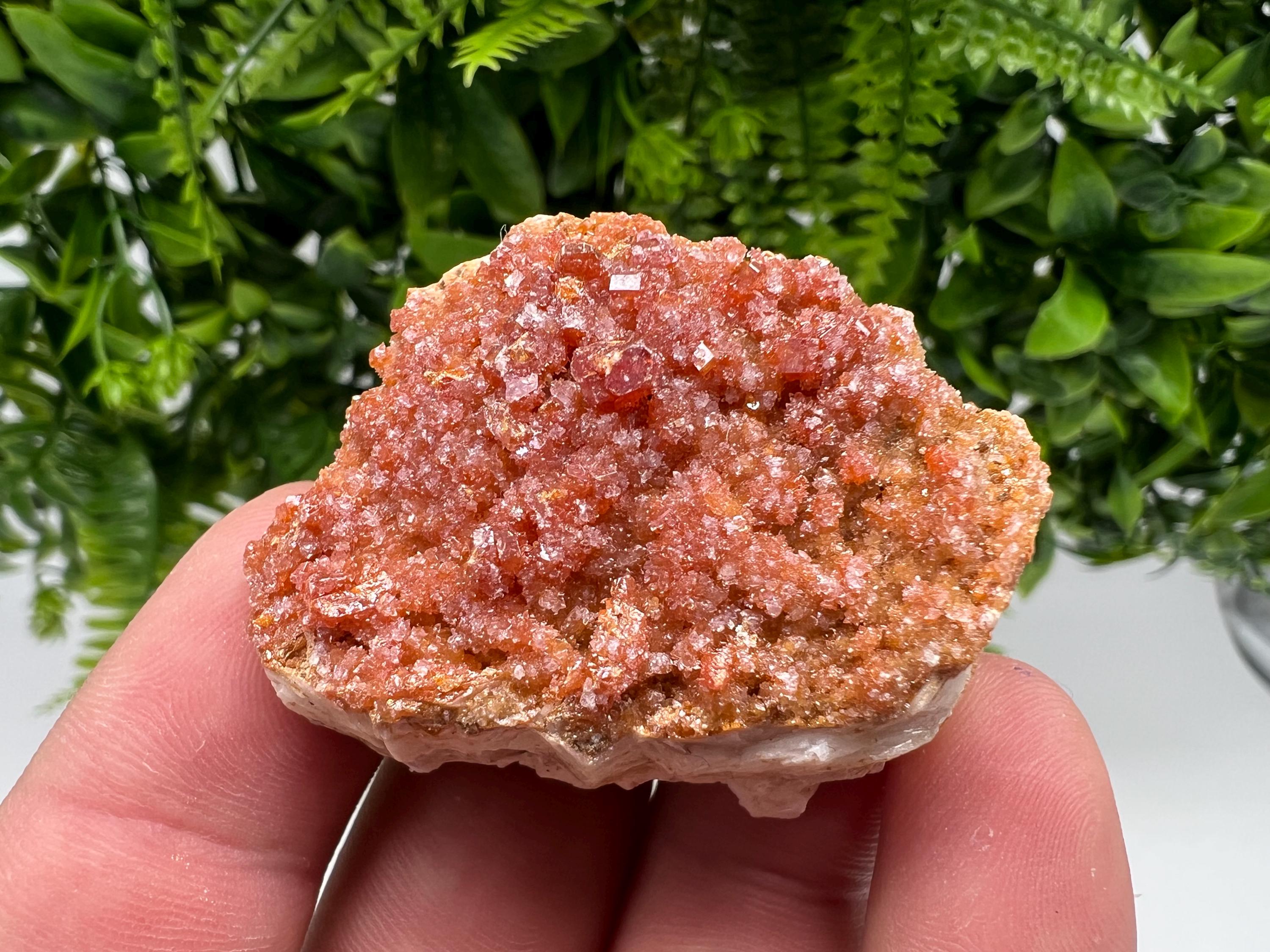 Red Vanadinite on Barite from Marocco,crystal minerals Speciment cluster Vanadinite crystal Vanadinite Geology Vanadinite cluster minerals