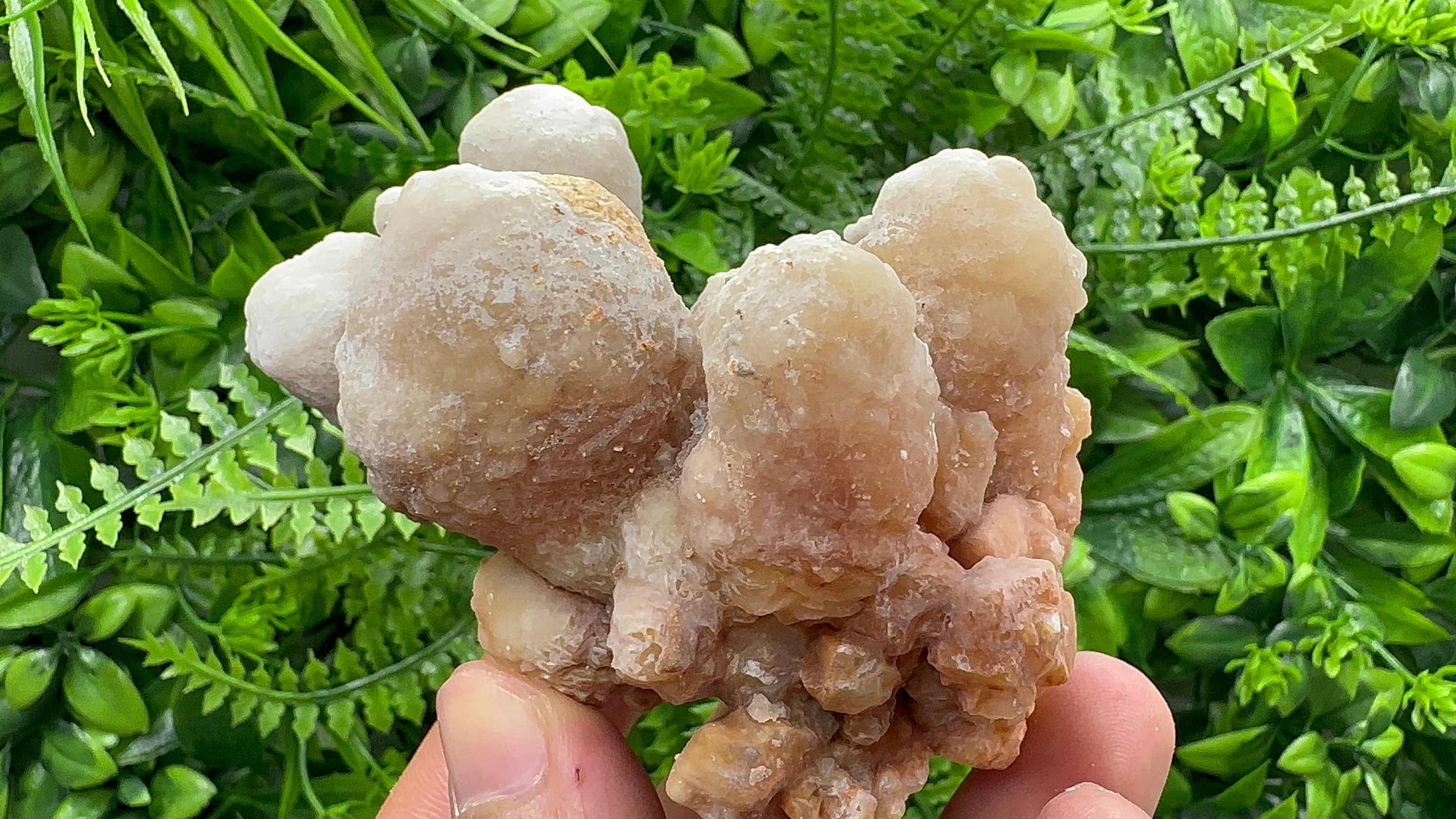 Dimitrovgrad Aragonite Cluster, Bulgaria, Natural Mineral Specimen