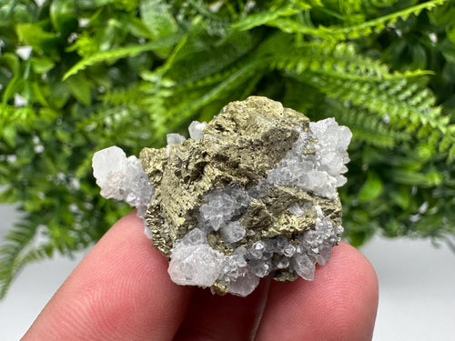 Chalcopyrite on Quartz Specimen, Krushev dol Mine, Bulgaria