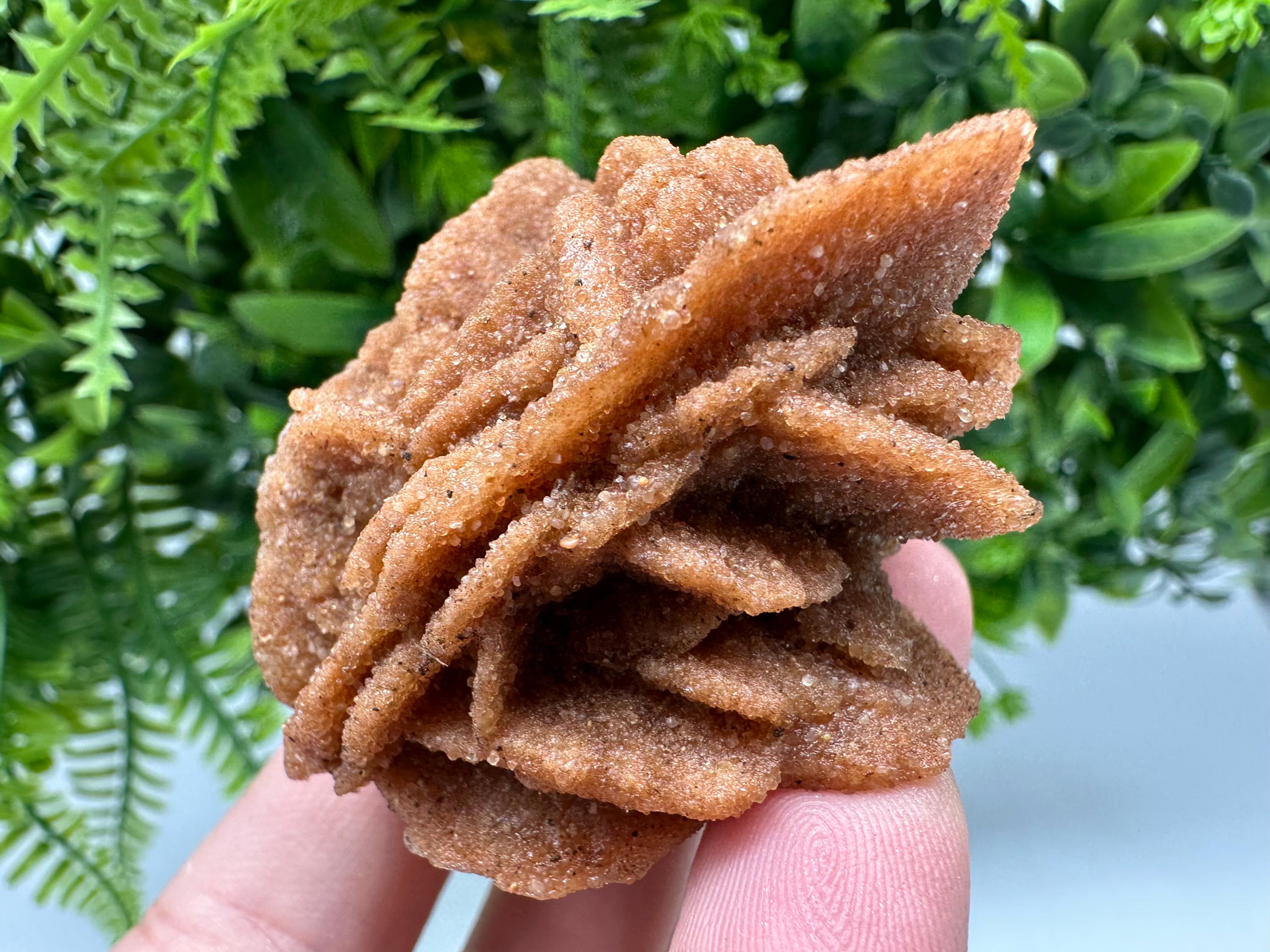 Natural Desert Rose Crystal - Root Chakra Healing Selenite