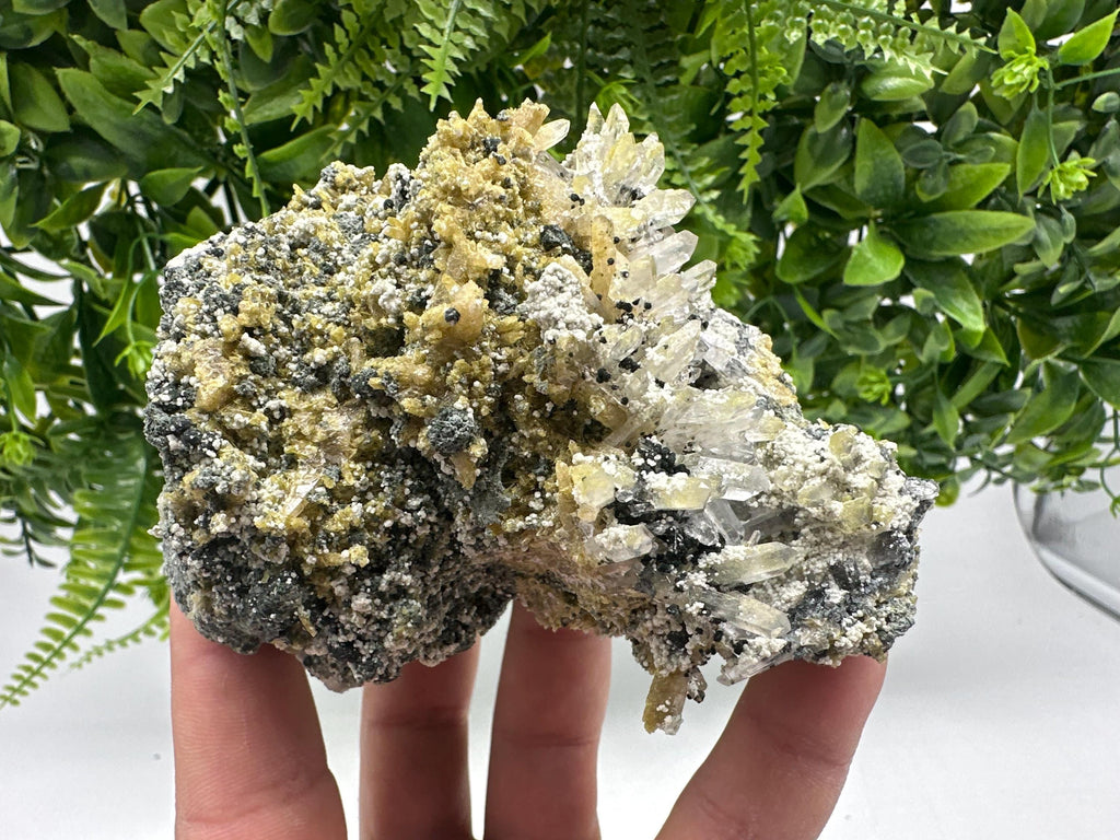 Chlorite Epidote Quartz Specimen: Borieva Mine, Bulgaria