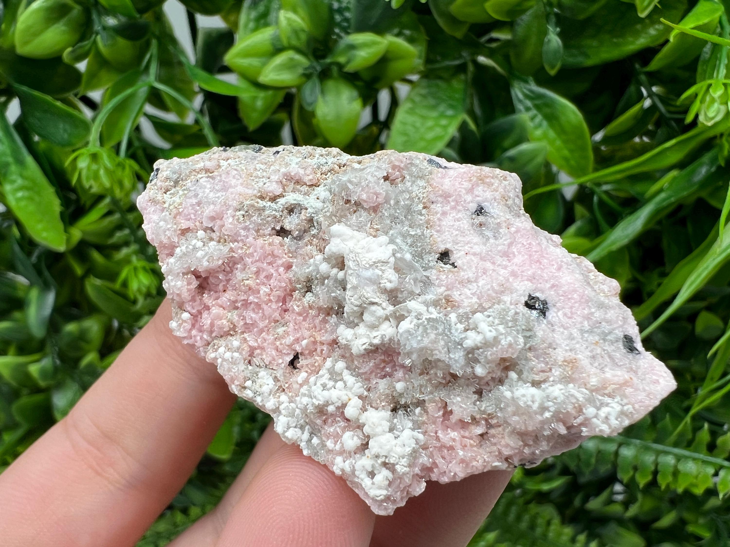 RARE Rhodochrosite with Calcite, Starnica Mine, Bulgaria