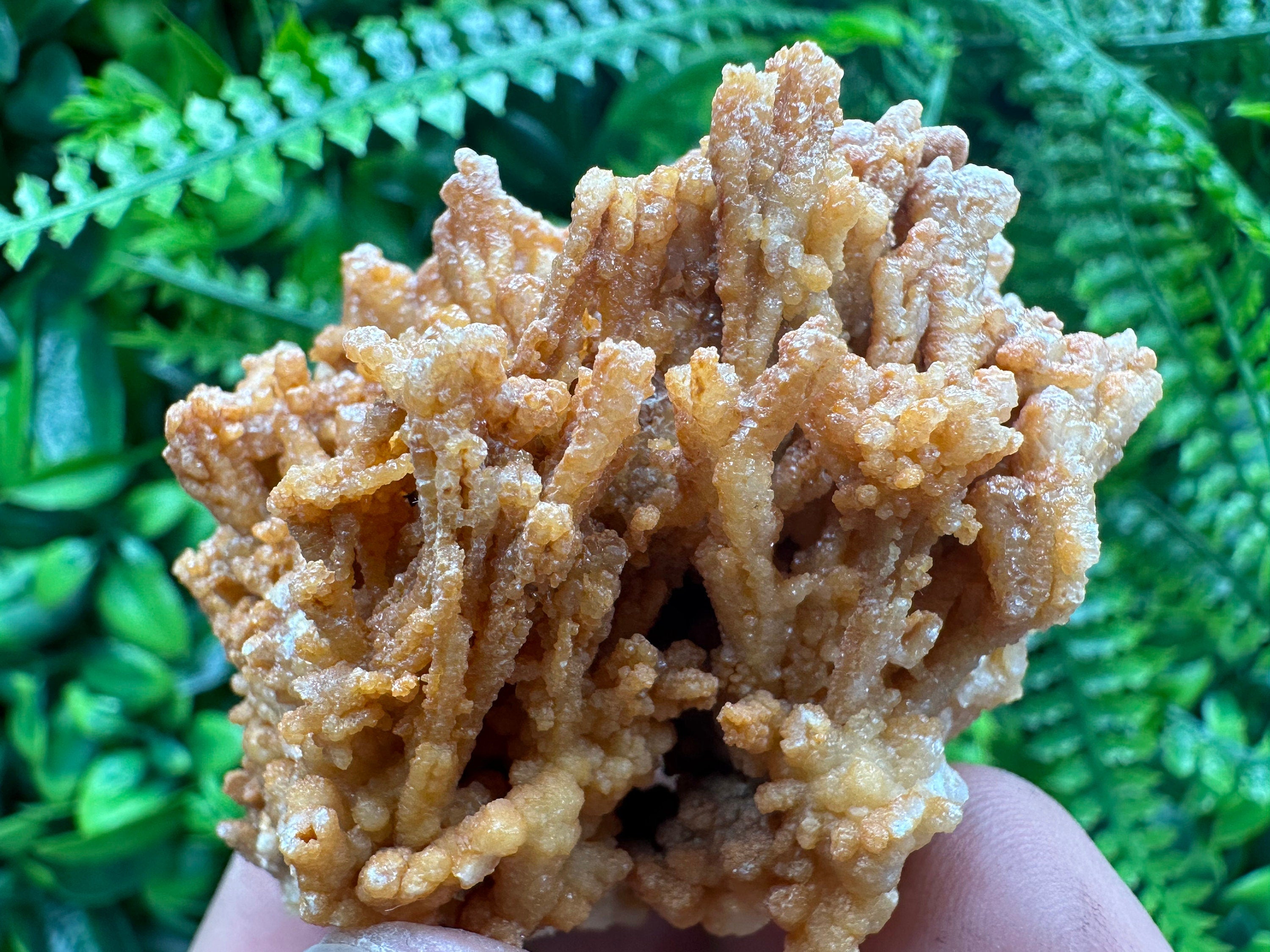 Dimitrovgrad Aragonite Cluster, Bulgaria Mineral Specimen