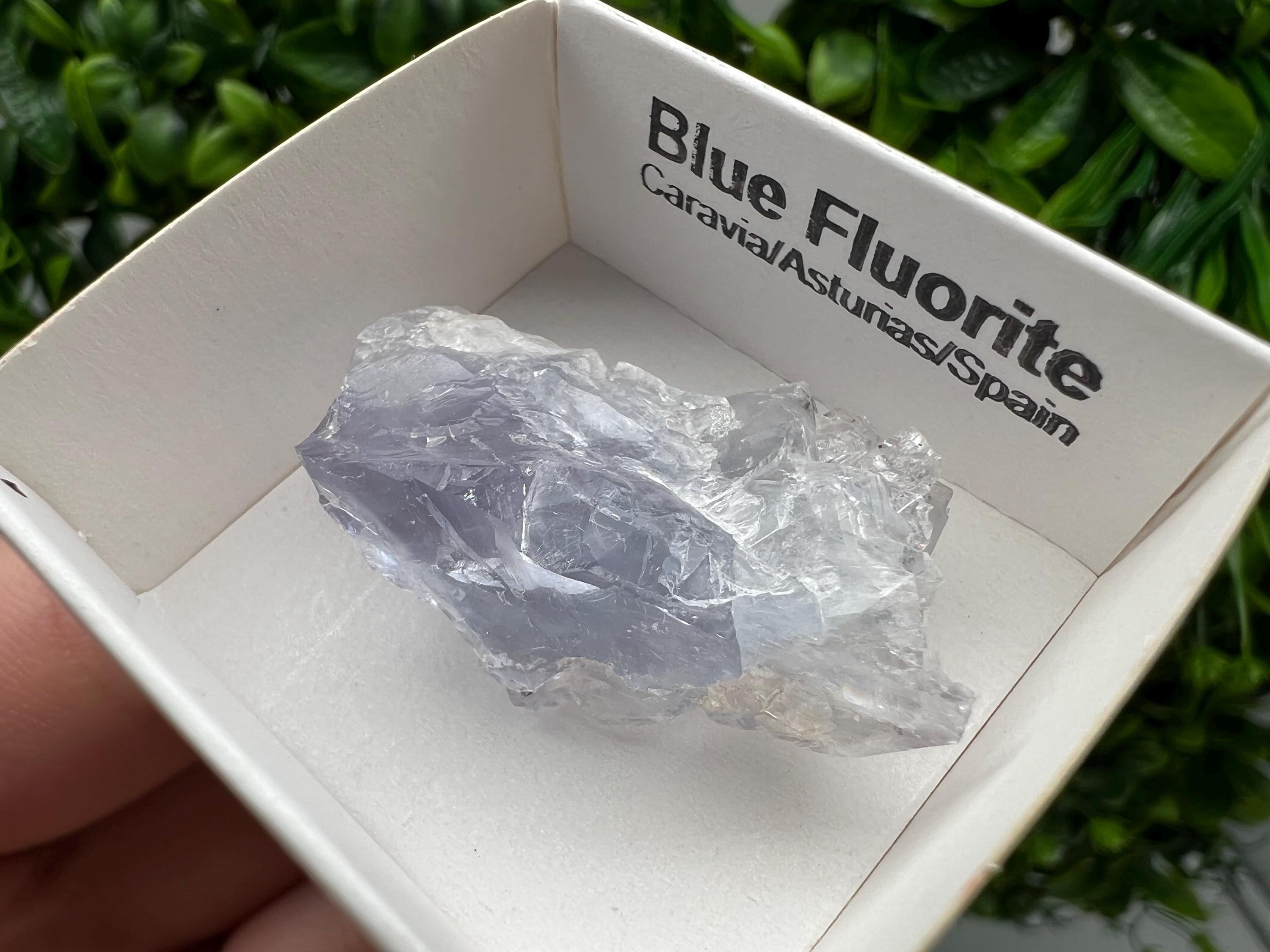 Blue Fluorite Mineral Specimen: Spain Collection (4/3cm