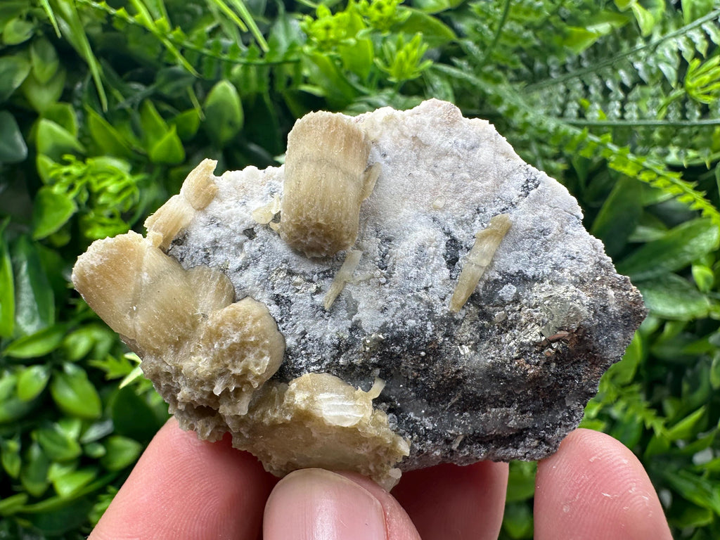 Rare Calcite Cluster on Matrix, Bulgarian Mineral Specimen