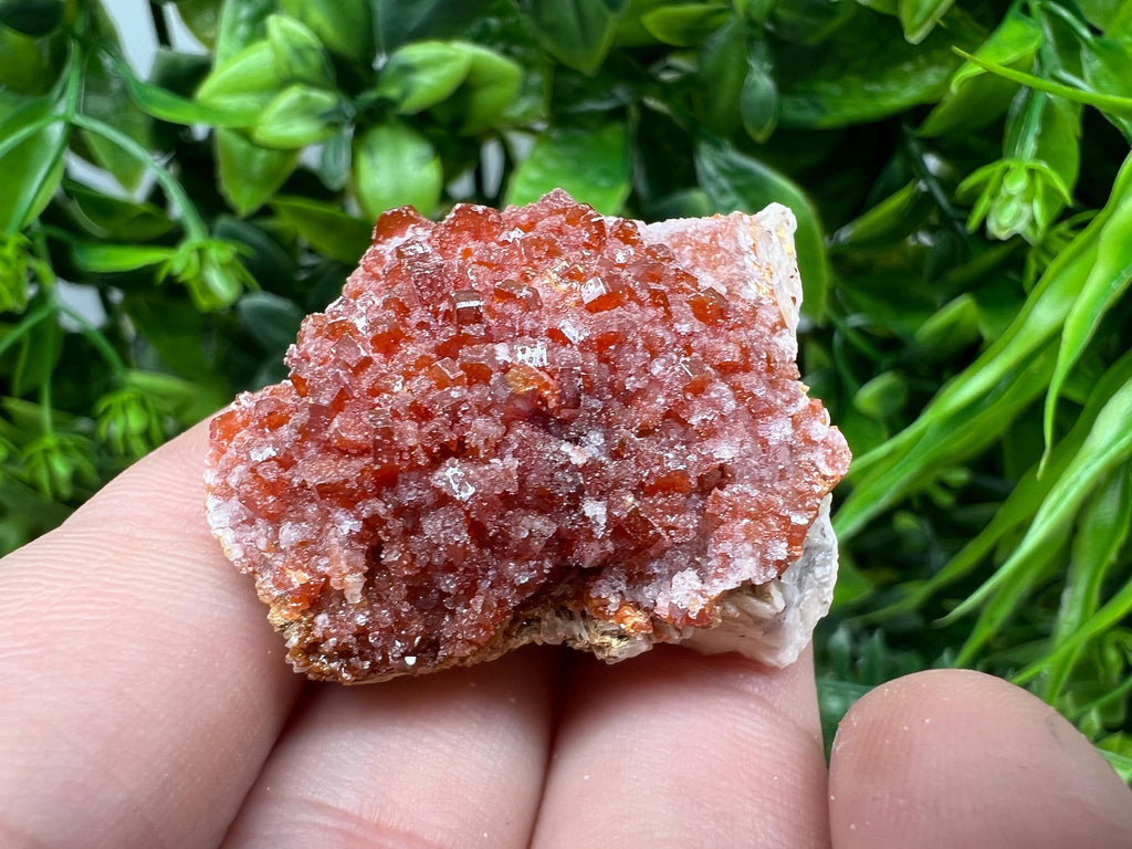 Red Vanadinite on Barite from Marocco,crystal minerals Speciment cluster Vanadinite crystal Vanadinite Geology Vanadinite cluster minerals