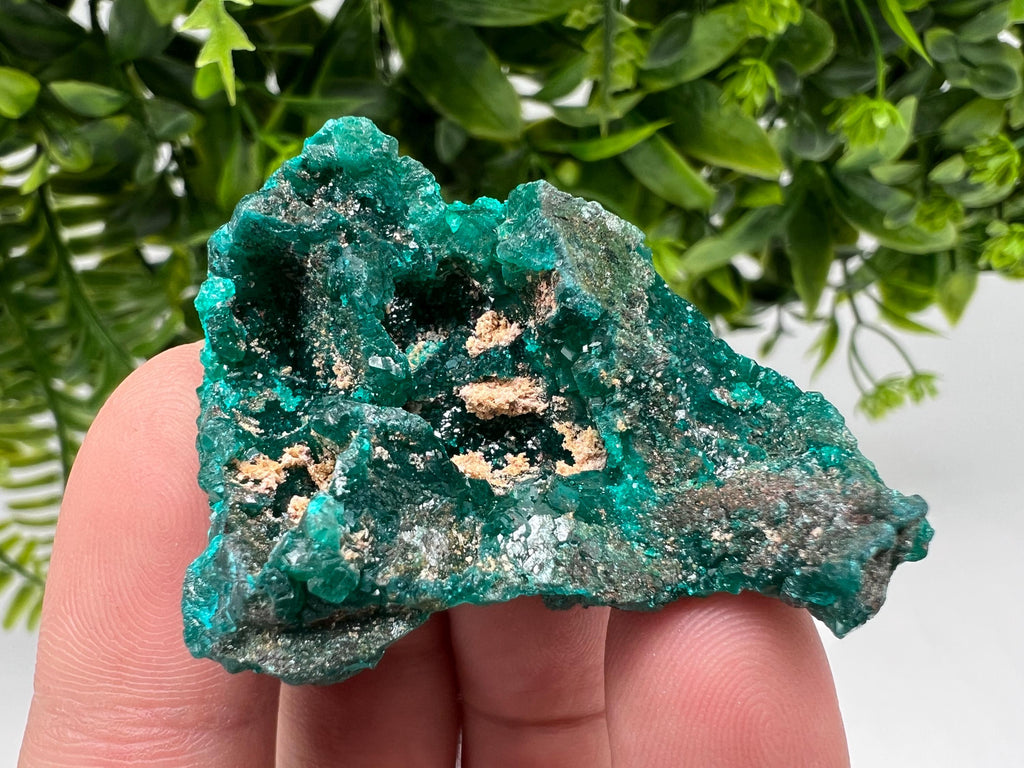 Stunning Green Dioptase from Sanda Hills,Mindouli,Pool Department,Mindouli District,Congo,green Dioptase,Dioptas Crystal,Dioptase collecting