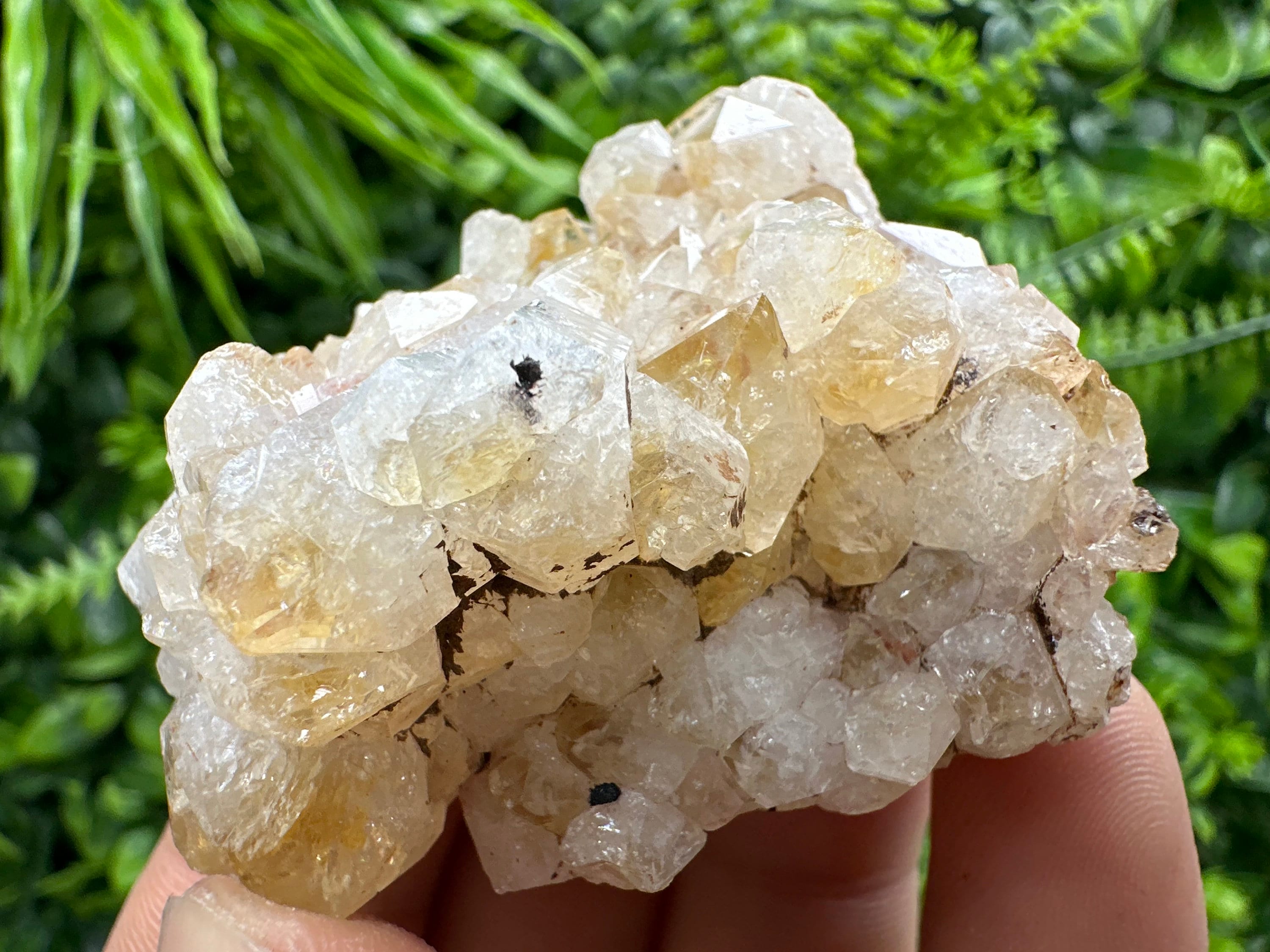 Citrine Crystal Cluster with Hematite Inclusions - Brazil