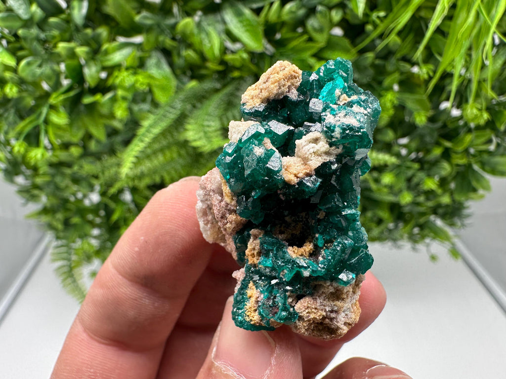 Stunning Green Dioptase from Sanda Hills,Mindouli,Pool Department,Mindouli District,Congo,green Dioptase,Dioptas Crystal,Dioptase collecting