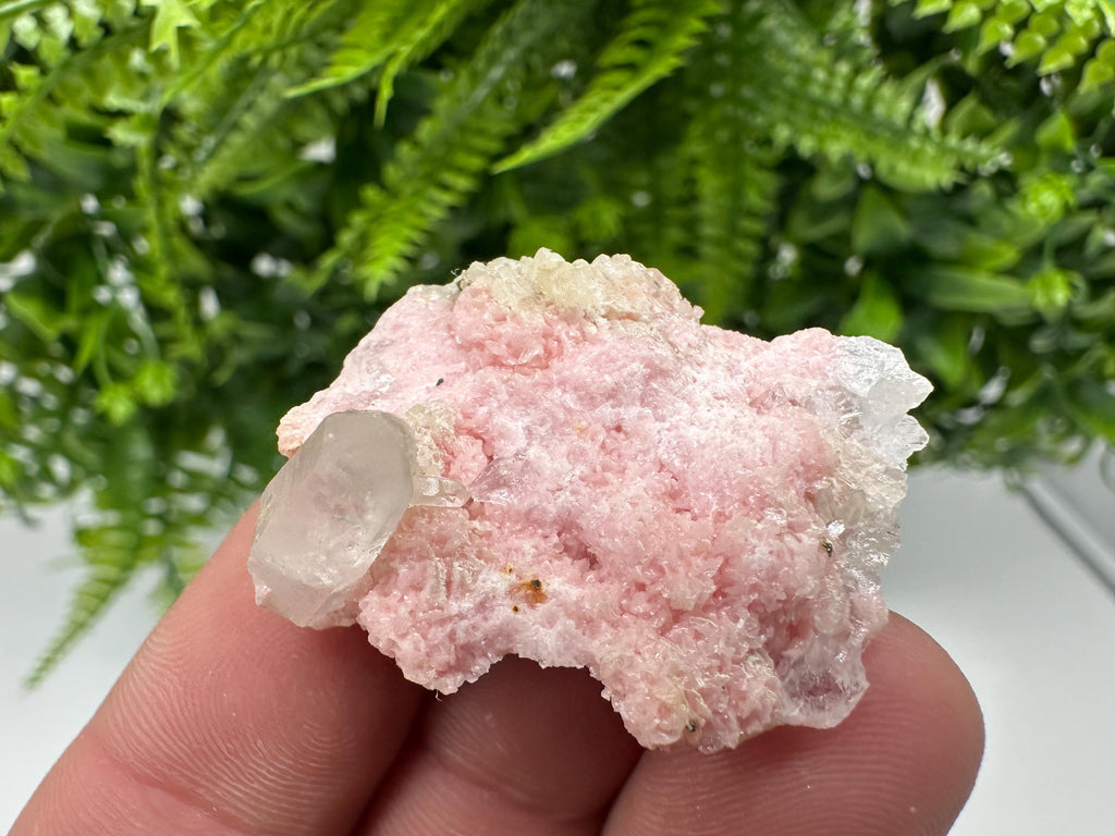 Rhodochrosite on Quartz: Pink Mineral Specimen, Starnica Mine