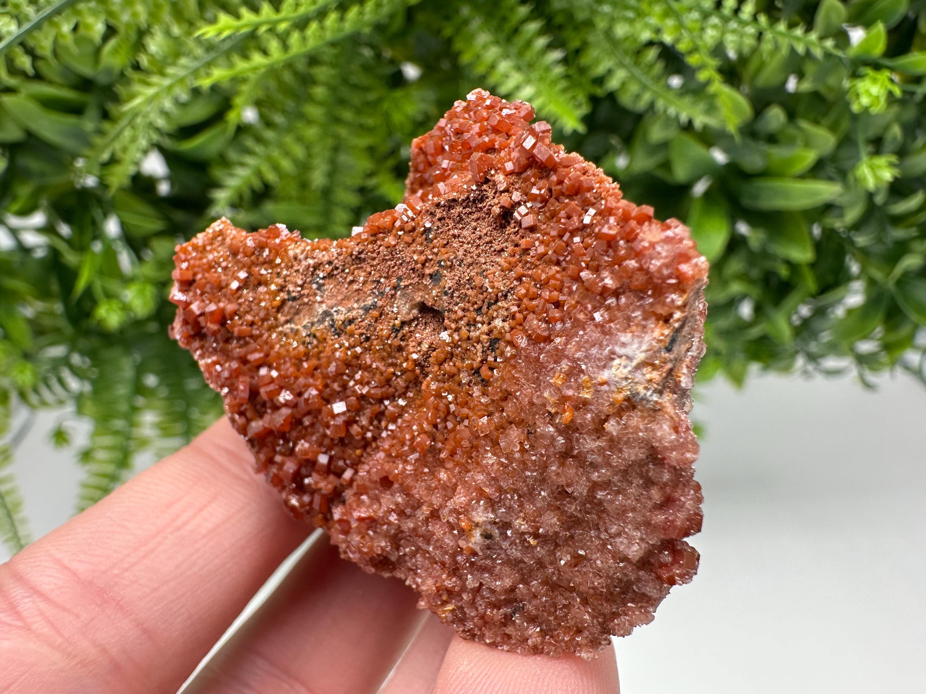 Red Vanadinite on Matrix from Marocco,crystal minerals Speciment cluster Vanadinite crystal Vanadinite Geology Vanadinite cluster minerals