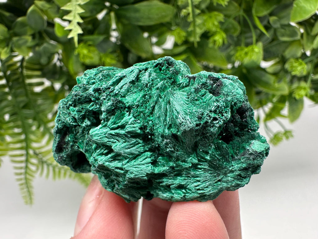 Polished Malachite Crystal Specimen from Congo, Green Mineral Chakra Stone