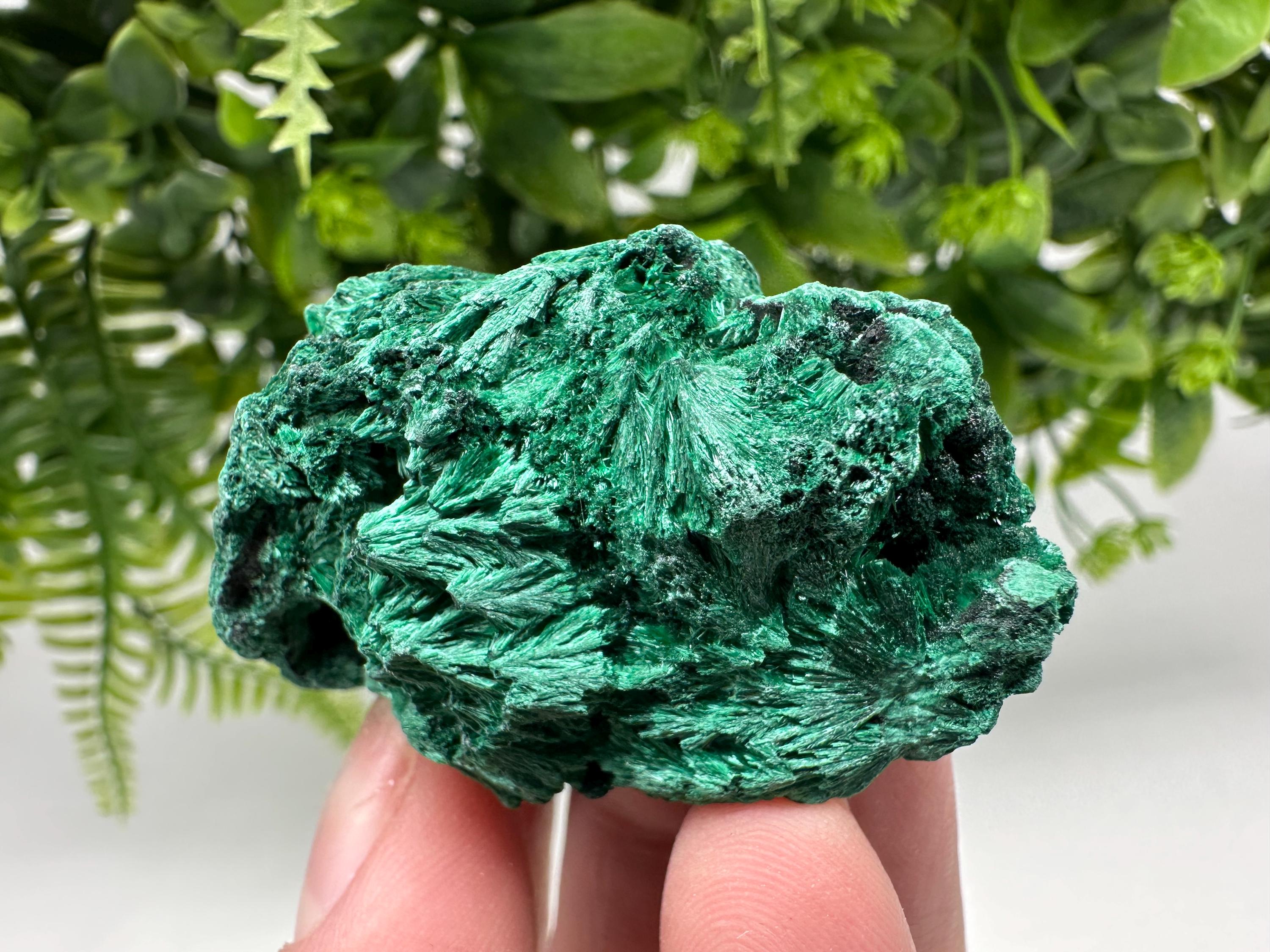 Polished Malachite Crystal Specimen from Congo, Green Mineral Chakra Stone