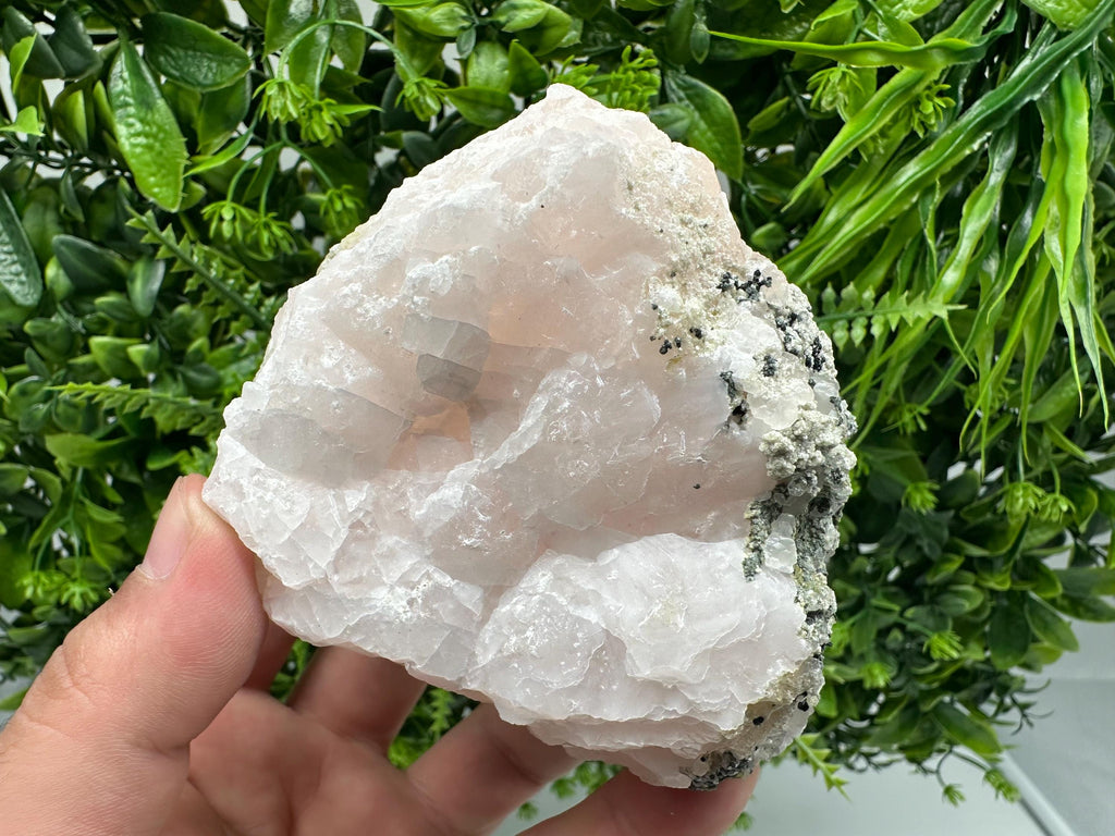 UV Mangano Calcite: Borieva Mine, Bulgaria Crystal Decor