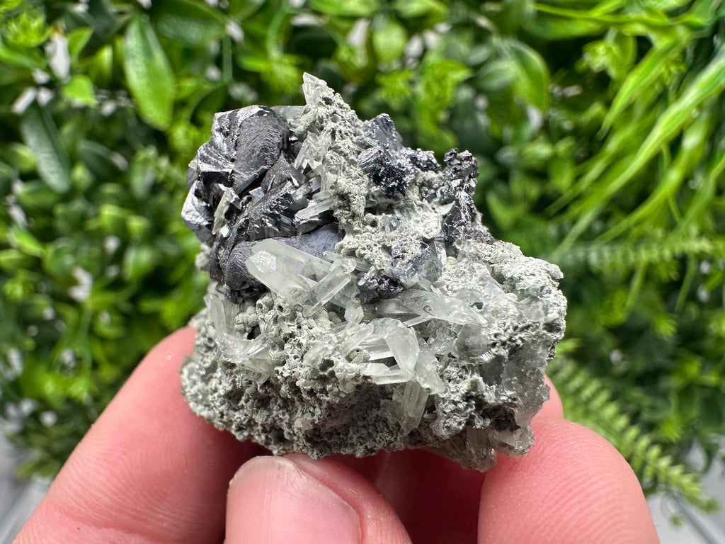Sphalerite with Chlorite Mineral Specimen - Borieva Mine, Bulgaria