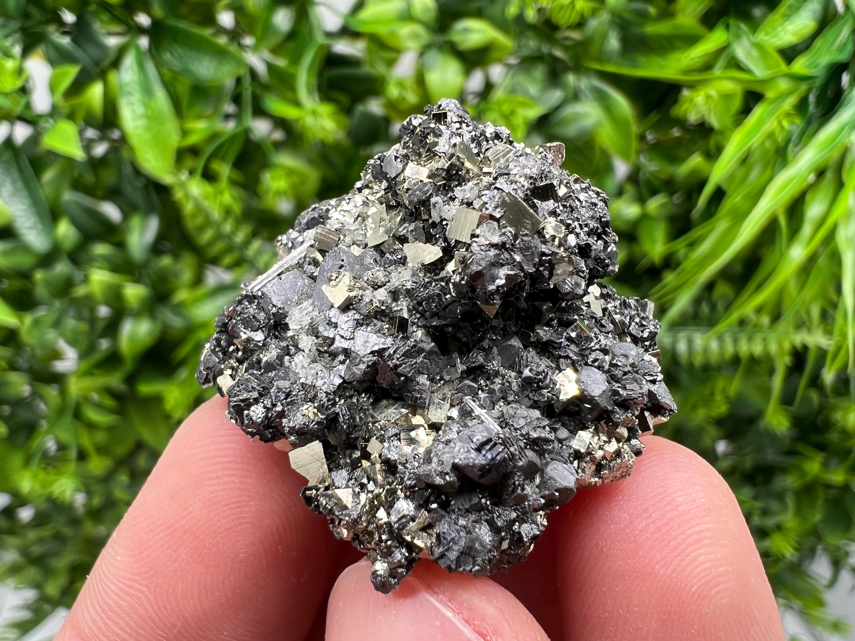 Pyrite Galena Sphalerite Quartz Specimen: Borieva Mine, Bulgaria