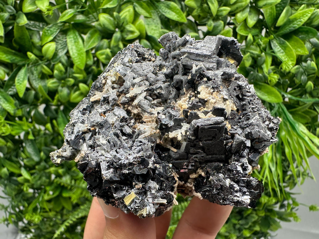 Skeletal Galena Mineral Specimen: Madan Bulgaria Collectible Stone