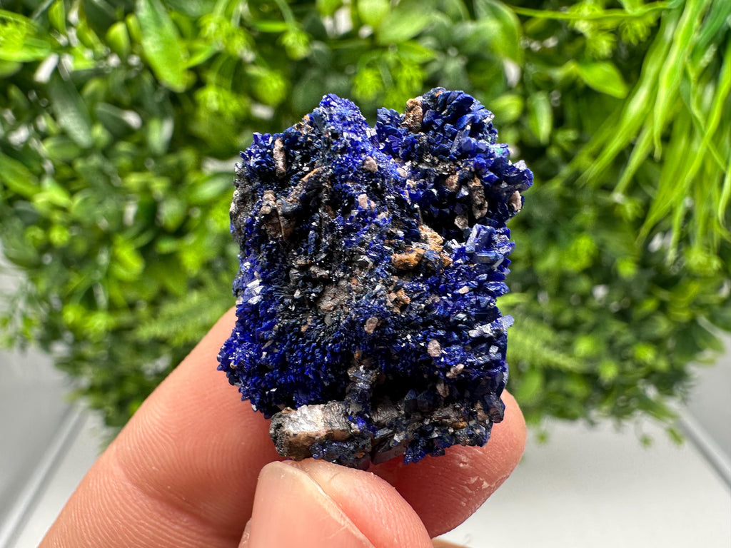 Crystallized Azurite-Kerrouchen,Morocco-Blue Azurite Specimen-High Quality Blue Azurite-Azurite Mineral Specimen, gemmy,lustrous of Azurite