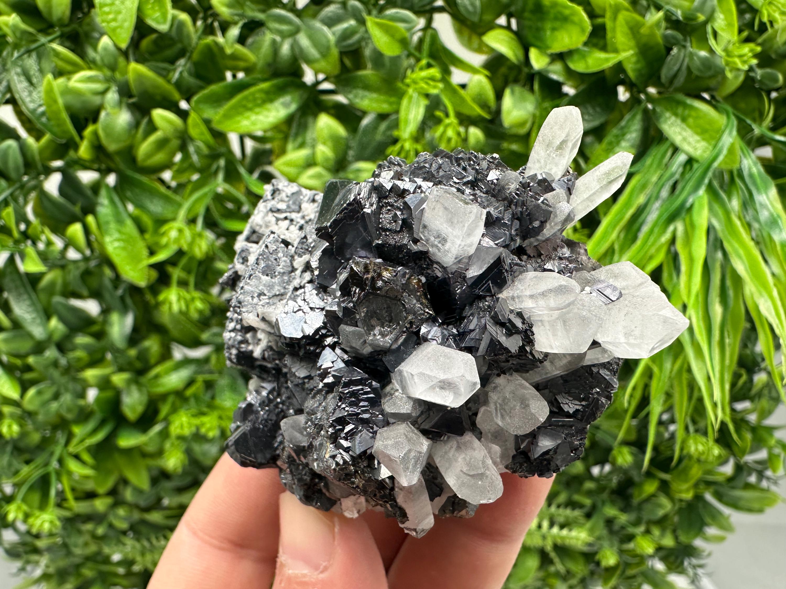 Wonderful Sphalerite Chalcopyrite on  Quartz whit Galena feom 9 th September mine,Bulgaria,natural,collection mineral specimen,gift