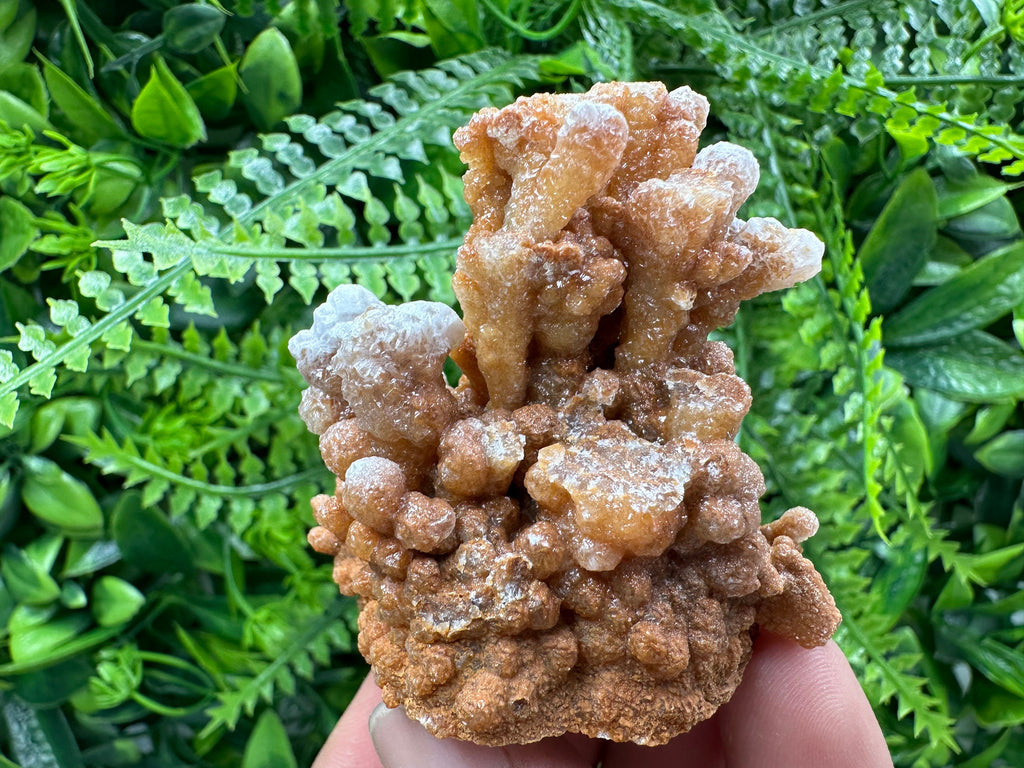 Dimitrovgrad Aragonite Cluster, Bulgaria Crystal Mineral Specimen