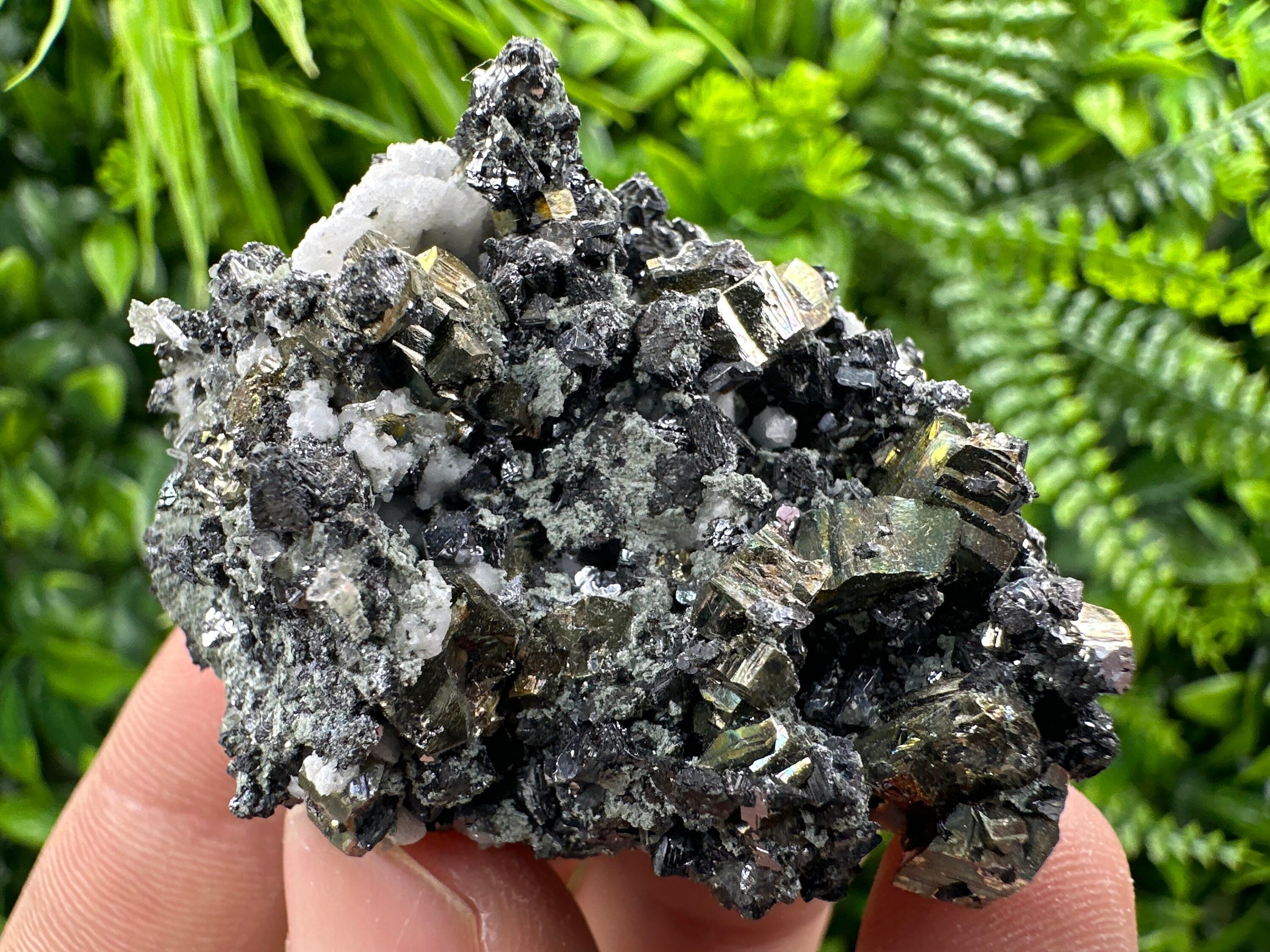 Rainbow Pyrite on Sphalerite and Quartz from Borieva Mine, Bulgaria