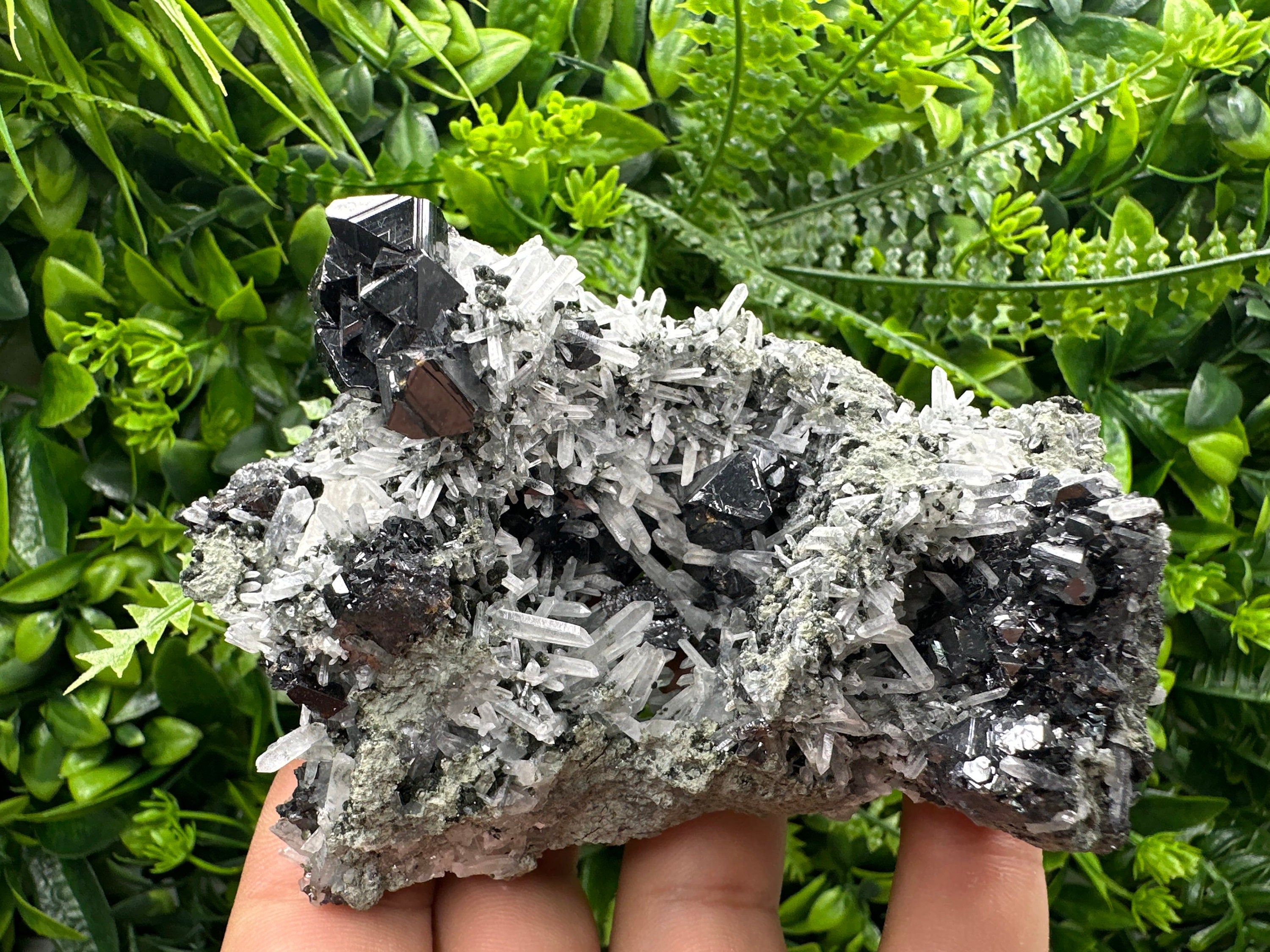 Sphalerite on Quartz Cluster: Borieva Mine, Bulgaria