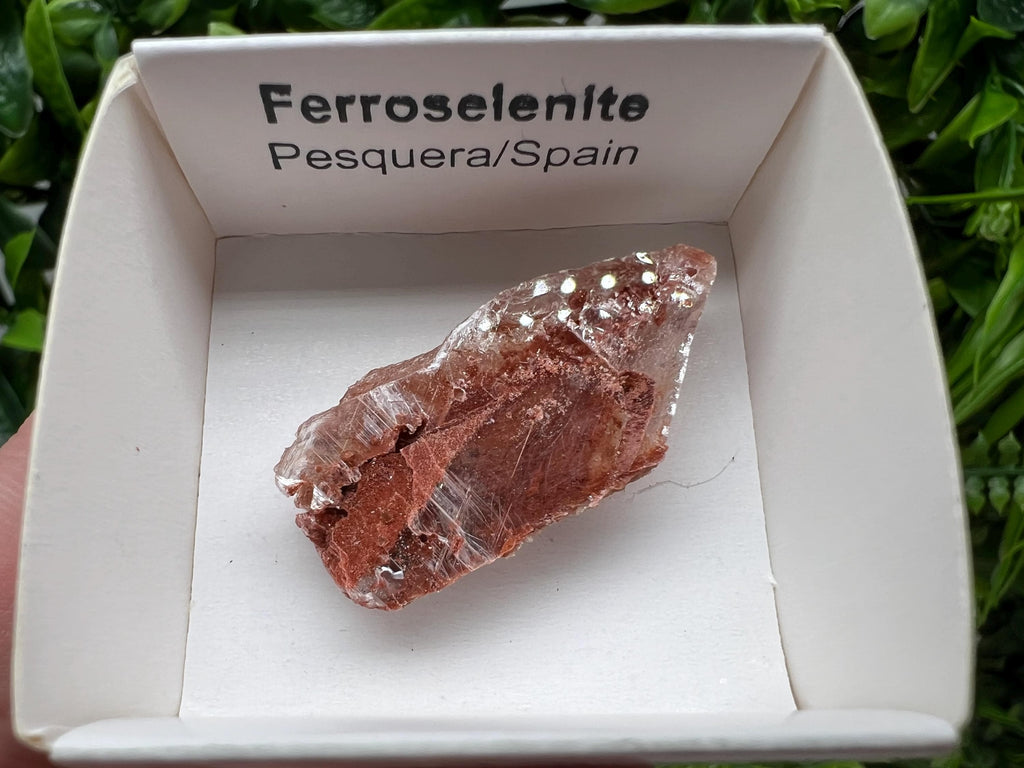 Rare Ferroselenite Crystal Mineral Specimen, Spain (3.4/1.8 cm)