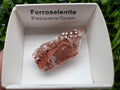 Rare Ferroselenite Crystal Mineral Specimen, Spain (3.4/1.8 cm)