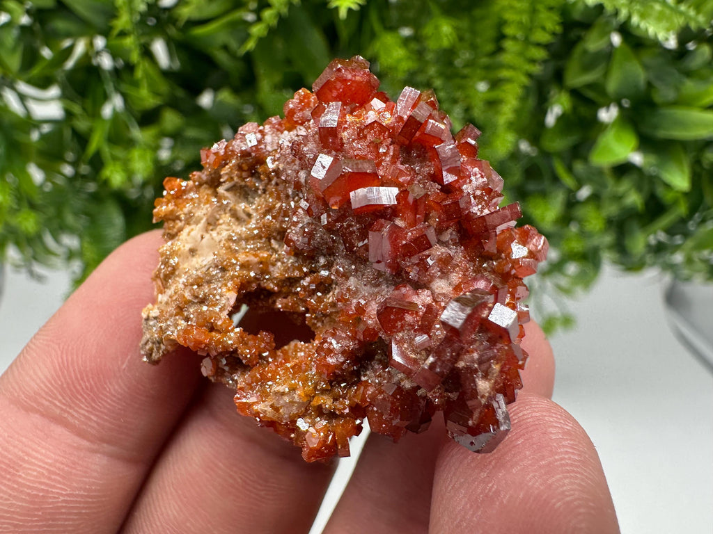 Red Vanadinite on Barite from Marocco,crystal minerals Speciment cluster Vanadinite crystal Vanadinite Geology Vanadinite cluster minerals