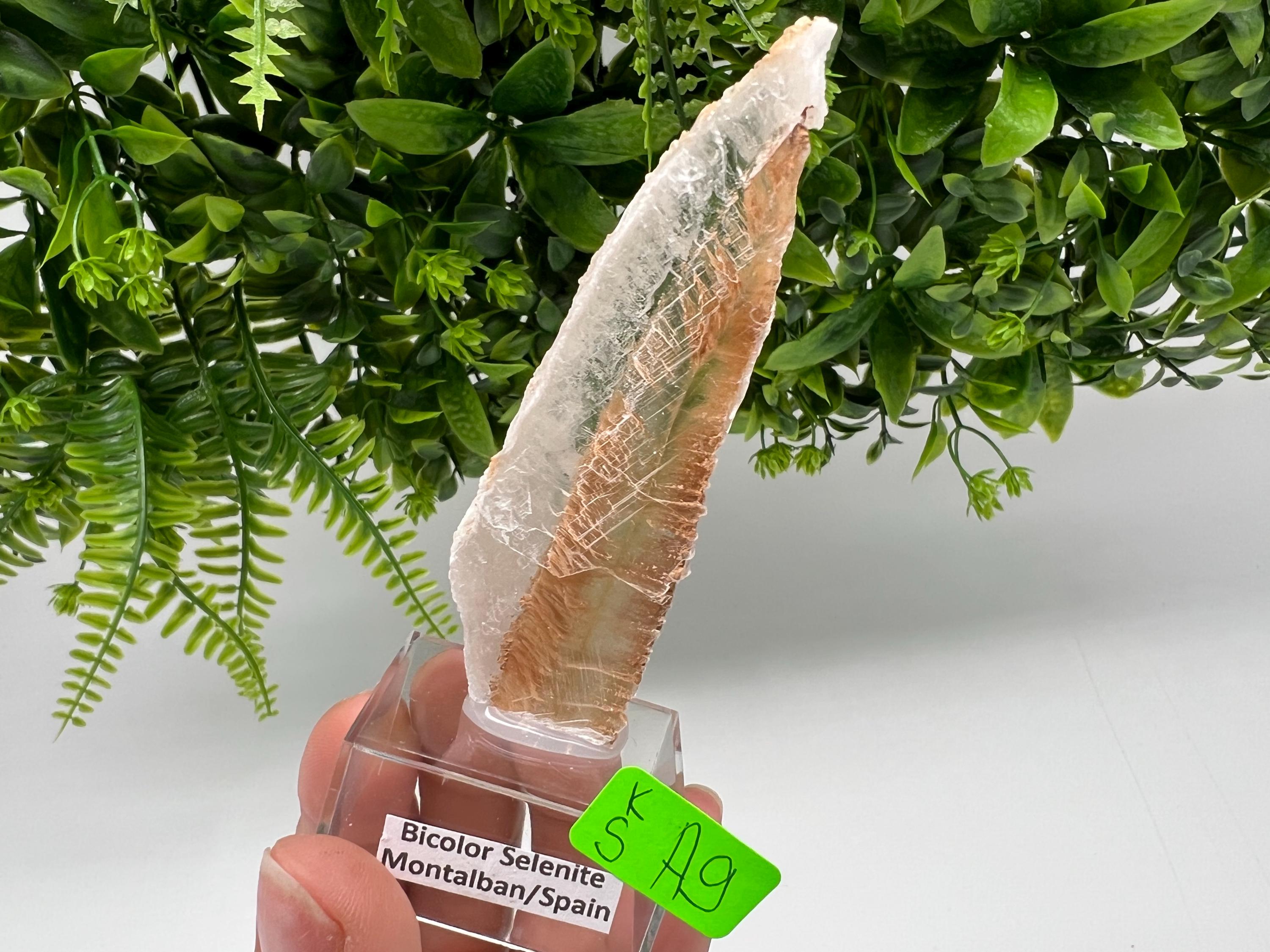 Golden Phantom Selenite Slab, Utah Raw Fishtail Selenite