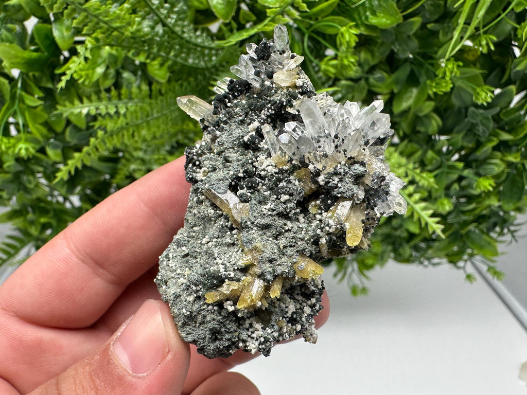 Chlorite Epidote Quartz Specimen: Borieva Mine, Bulgaria
