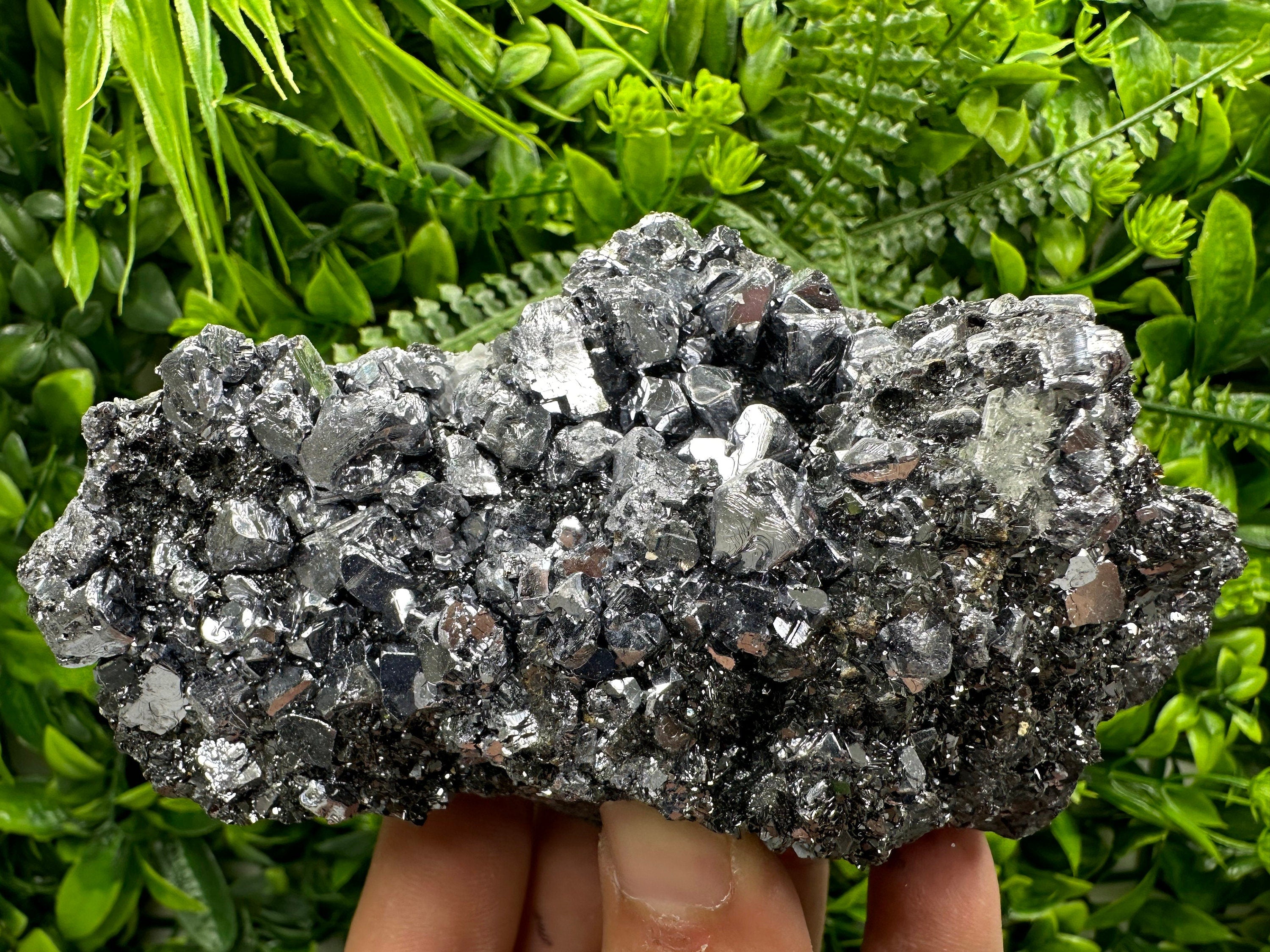 Mirror Galena on Sphalerite, Borieva Mine Mineral Specimen