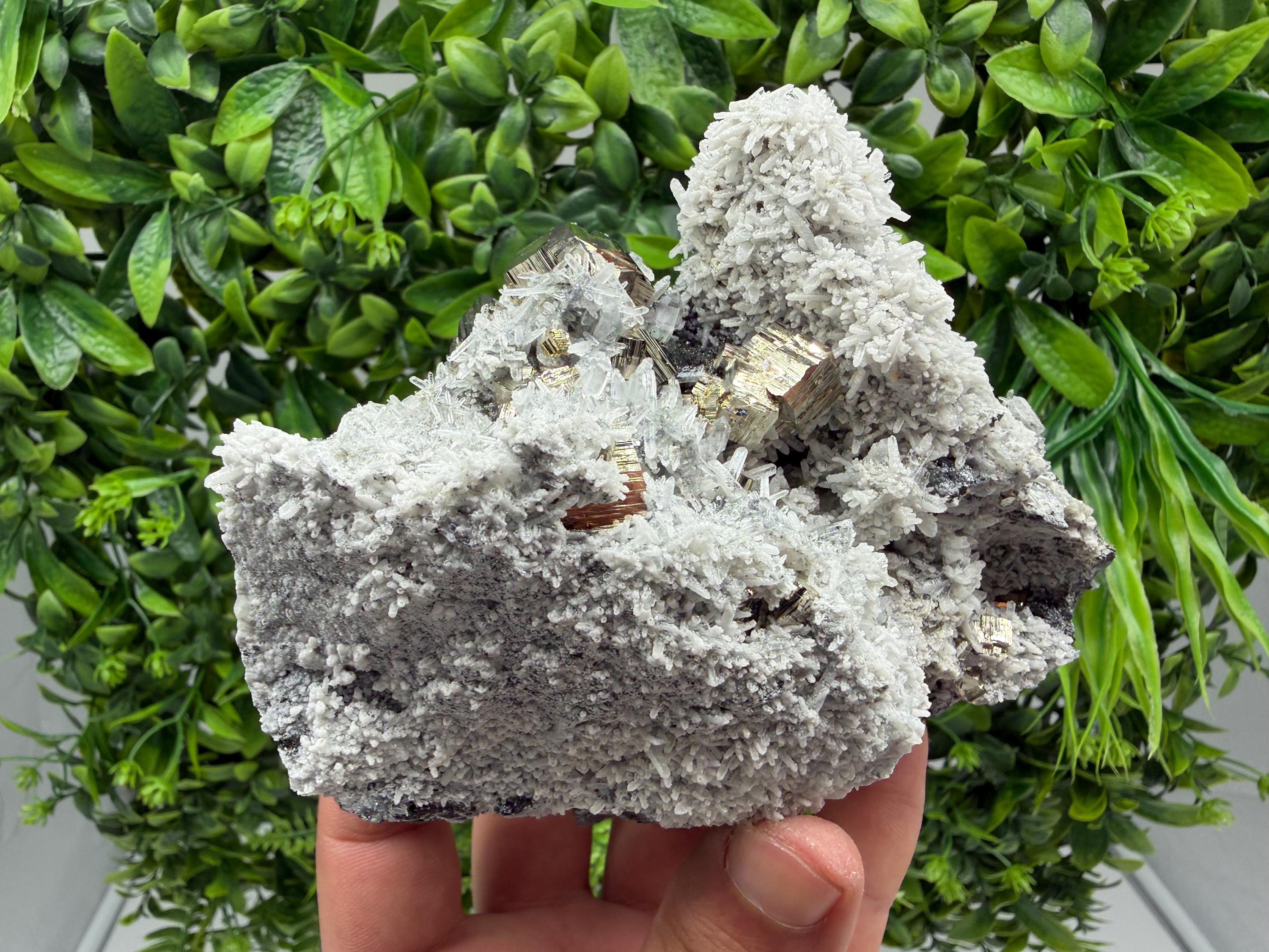 Pyrite Sphalerite Quartz  Mineral Specimen, Krushev dol Mine