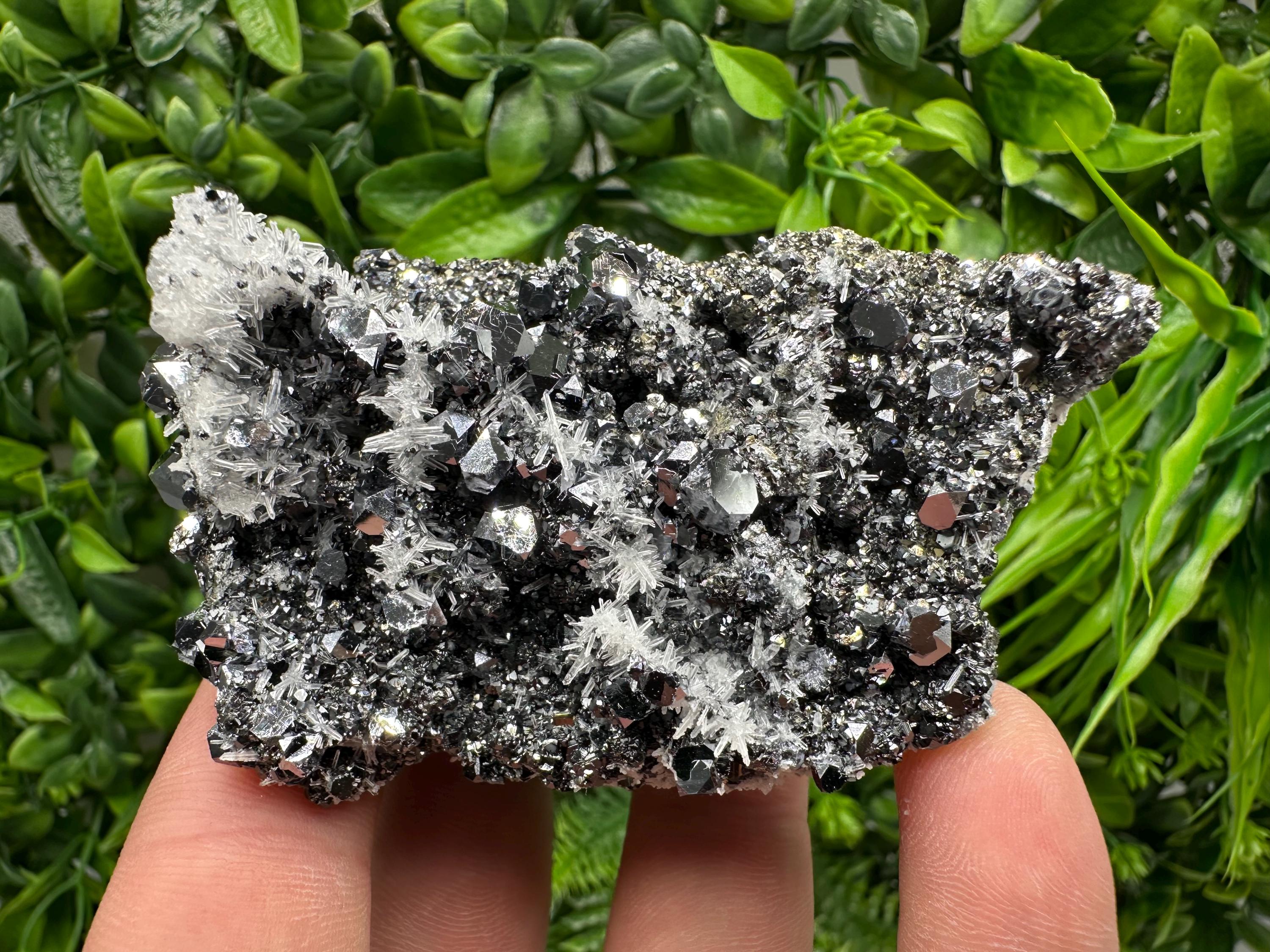 Galena Sphalerite Calcite Pyrite Quartz Mineral Specimen, Borieva Mine, Bulgaria Home Decor