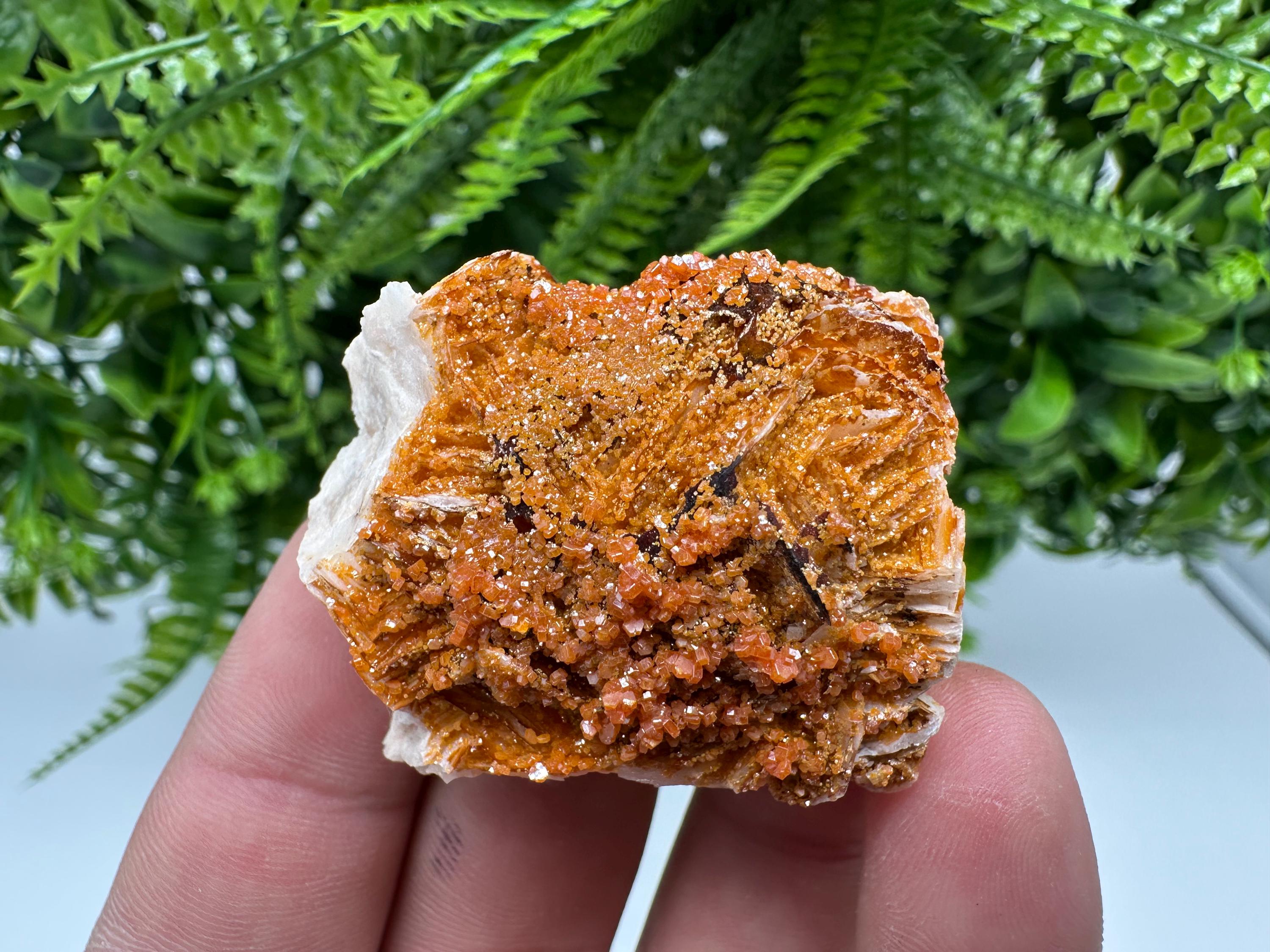 Red Vanadinite on Barite, Morocco Crystal Specimen