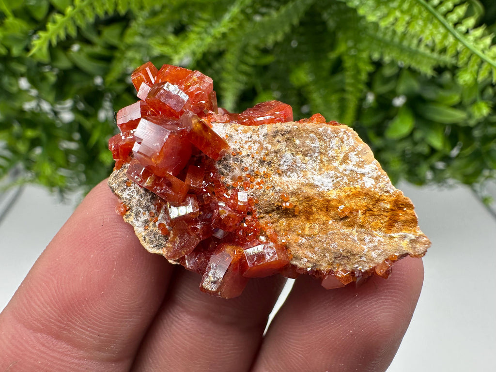 Red Vanadinite on Barite from Marocco,crystal minerals Speciment cluster Vanadinite crystal Vanadinite Geology Vanadinite cluster minerals