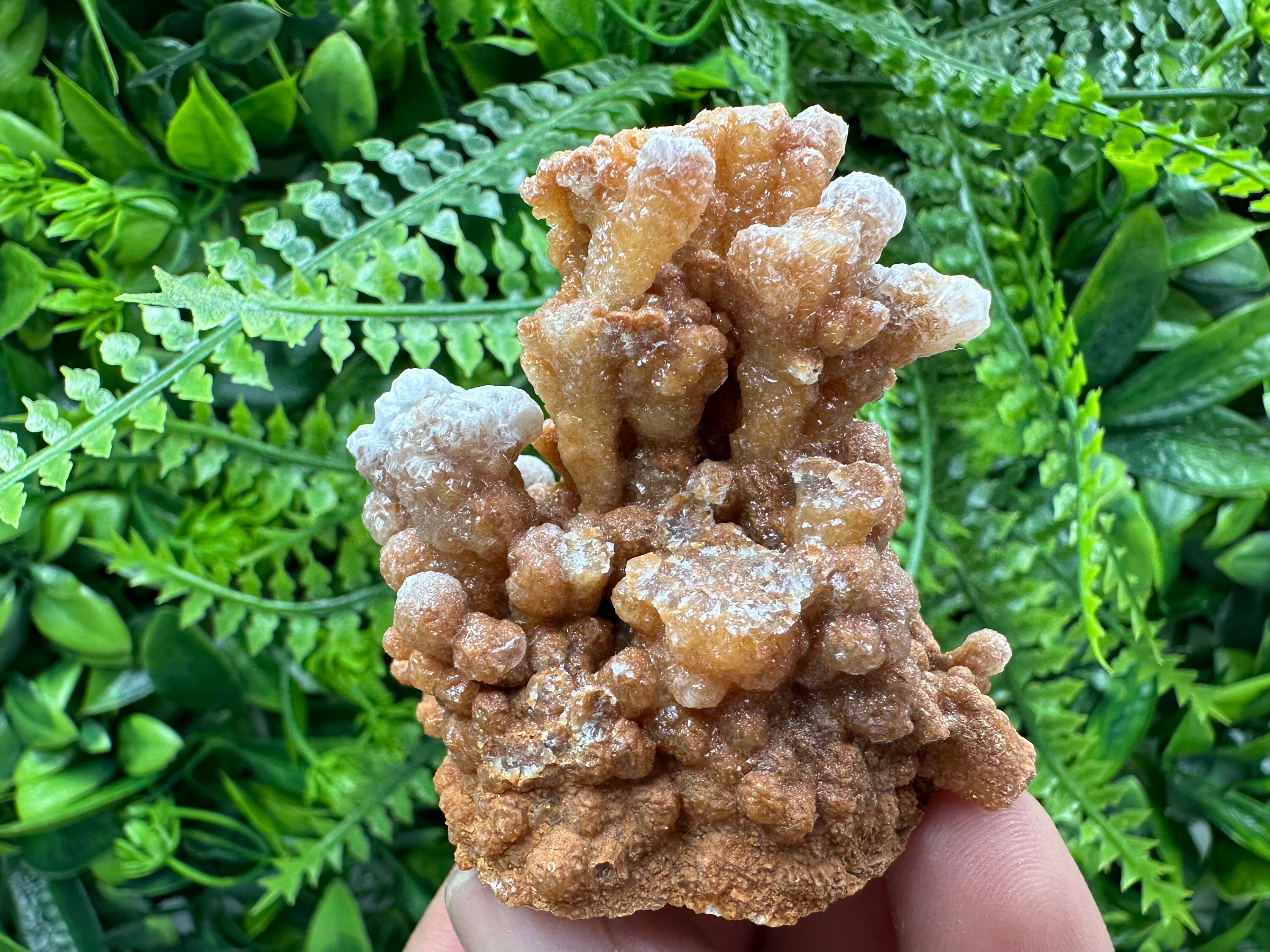 Dimitrovgrad Aragonite Cluster, Bulgaria Crystal Mineral Specimen