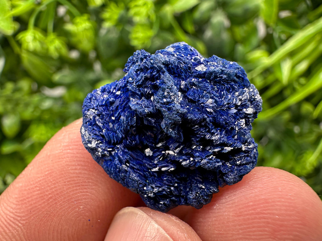 Crystallized Azurite-Kerrouchen,Morocco-Blue Azurite Specimen-High Quality Blue Azurite-Azurite Mineral Specimen, gemmy,lustrous of Azurite