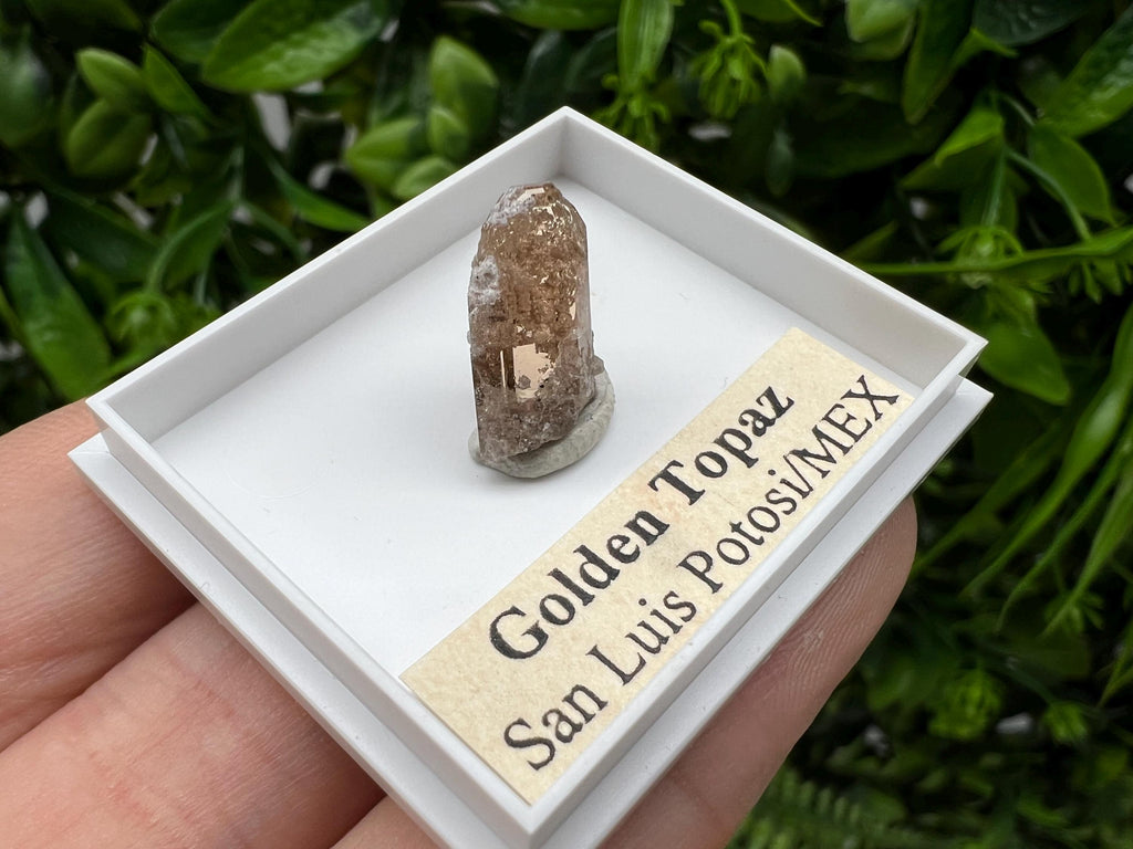 Beautiful Golden Topaz from Mexico,collection piece Crystal,Mineral,collectibles,Collectors, Natural Crystal, Minerals from Mexico,original,