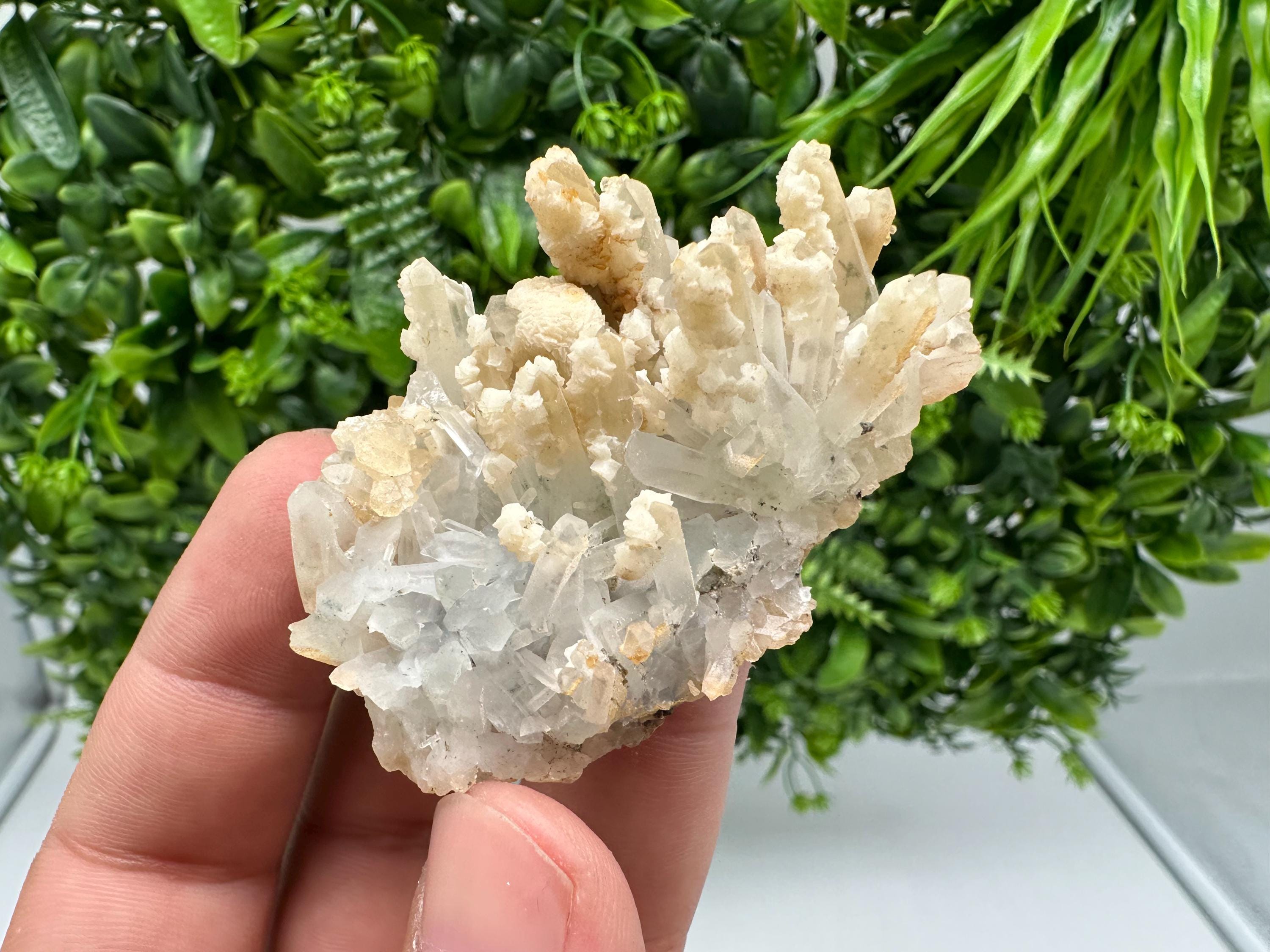 Calcite on Green Quartz: Djurcovo Mine, Bulgaria - Healing Crystal