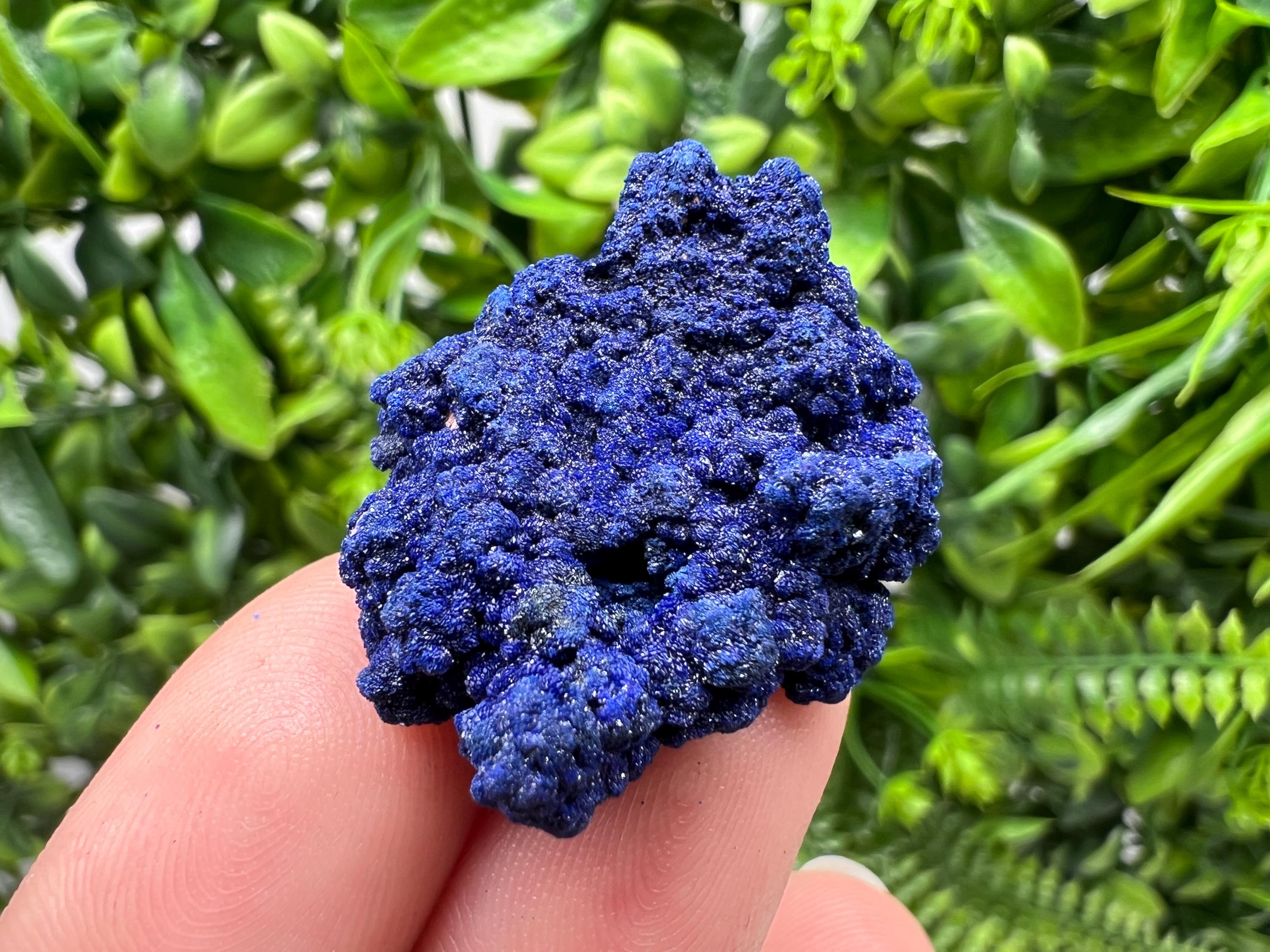 Crystallized Azurite-Kerrouchen,Morocco-Blue Azurite Specimen-High Quality Blue Azurite-Azurite Mineral Specimen, gemmy,lustrous of Azurite