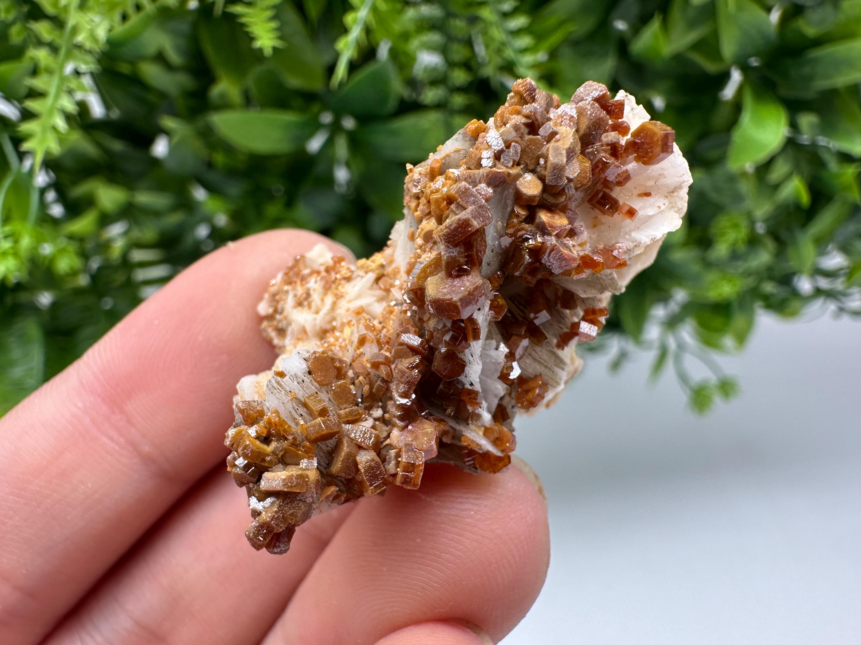 Red Vanadinite on Barite from Marocco,crystal minerals Speciment cluster Vanadinite crystal Vanadinite Geology Vanadinite cluster minerals