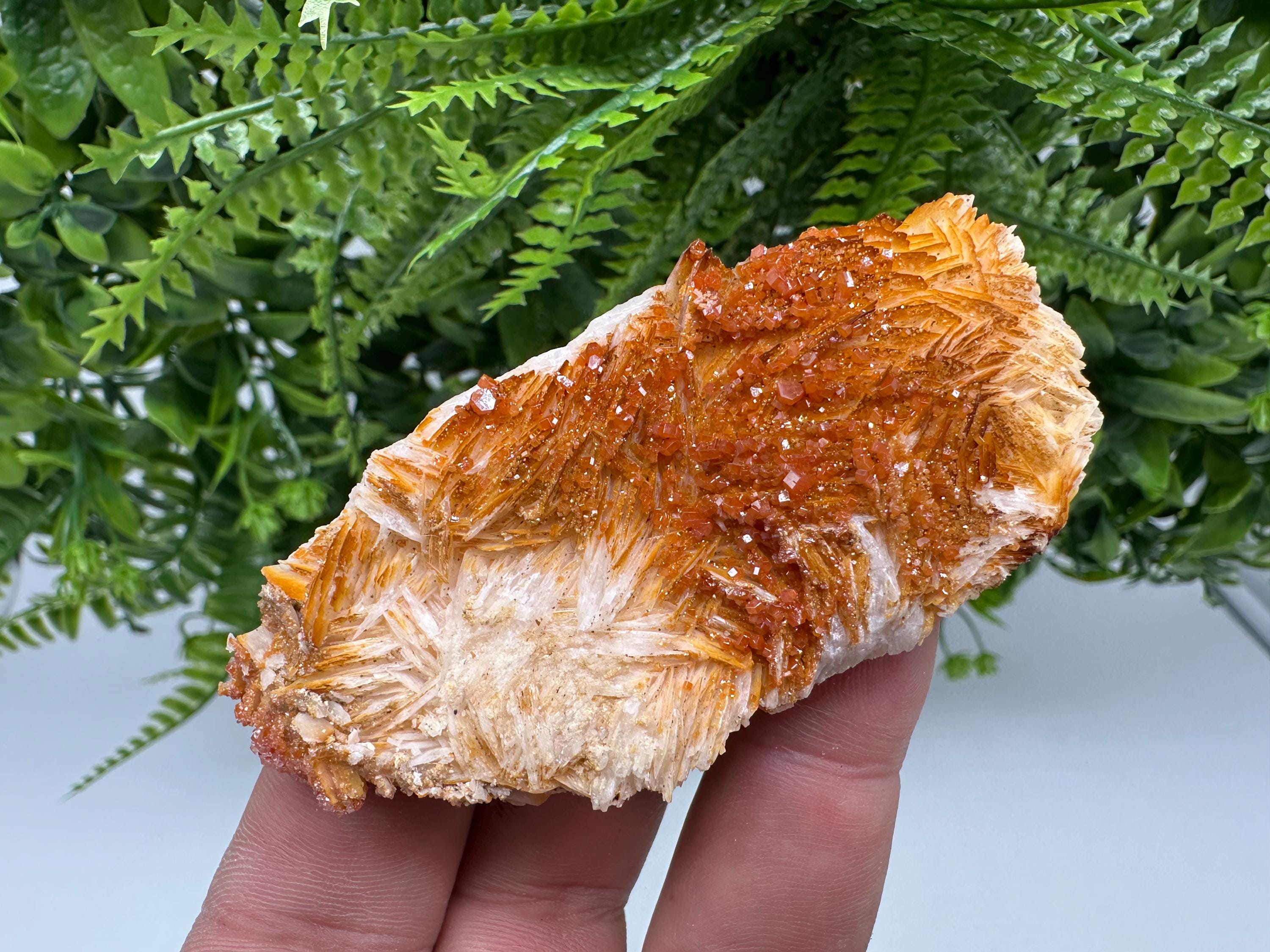 Red Vanadinite on Barite, Morocco Crystal Cluster