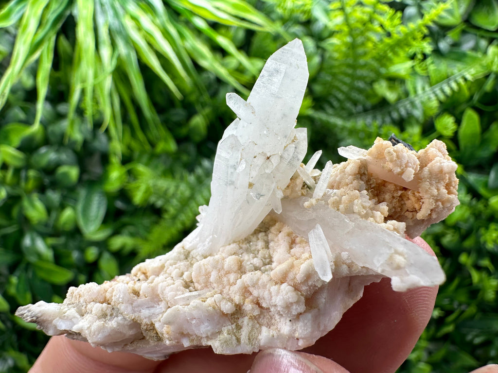 Quartz with Chlorite, Rhodochrosite & Siderite Mineral Specimen