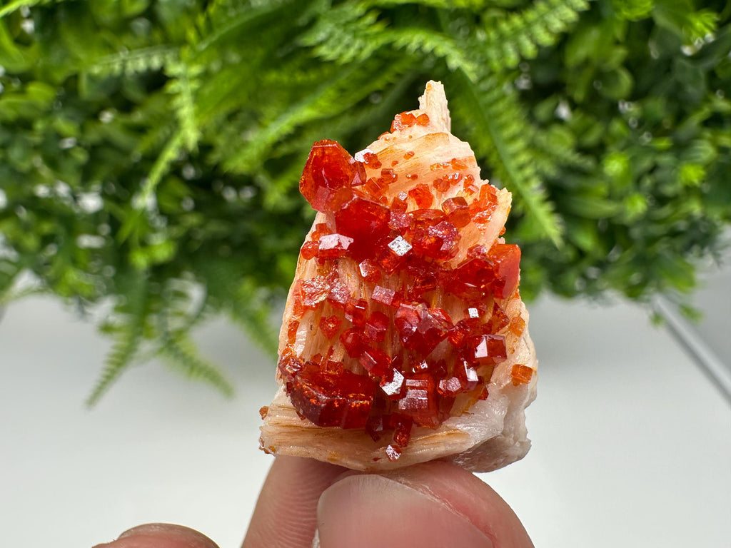 Red Vanadinite on Barite from Marocco,crystal minerals Speciment cluster Vanadinite crystal Vanadinite Geology Vanadinite cluster minerals