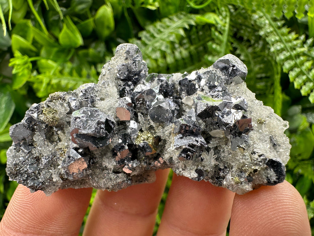 Galena Chalcopyrite on Quartz: Crystal Home Decor, Borieva Mine