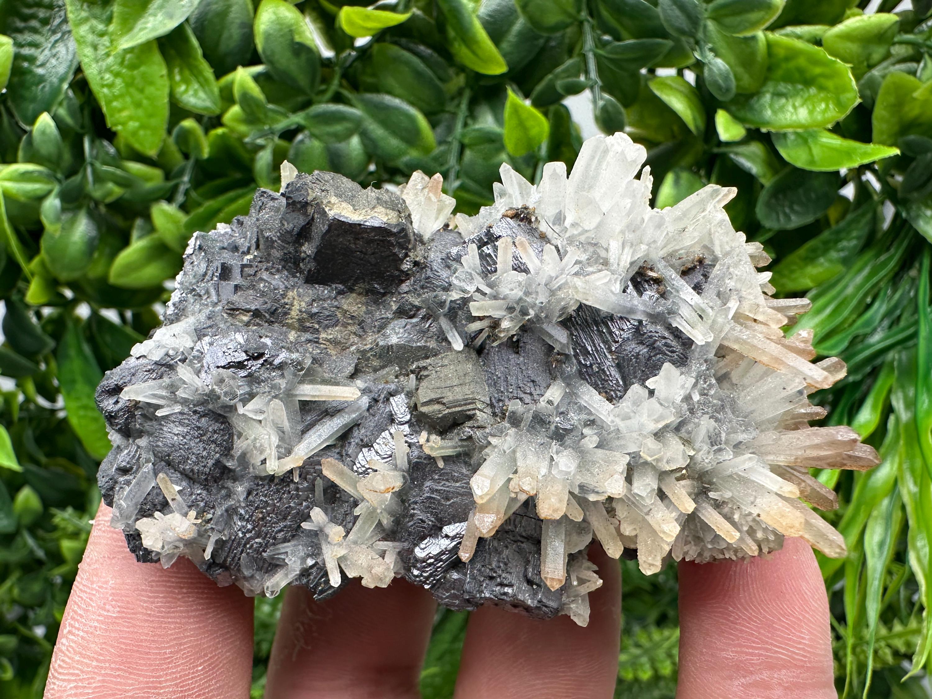 Galena, Sphalerite, Chalcopyrite, and Quartz Mineral Specimen, Djurcovo Mine
