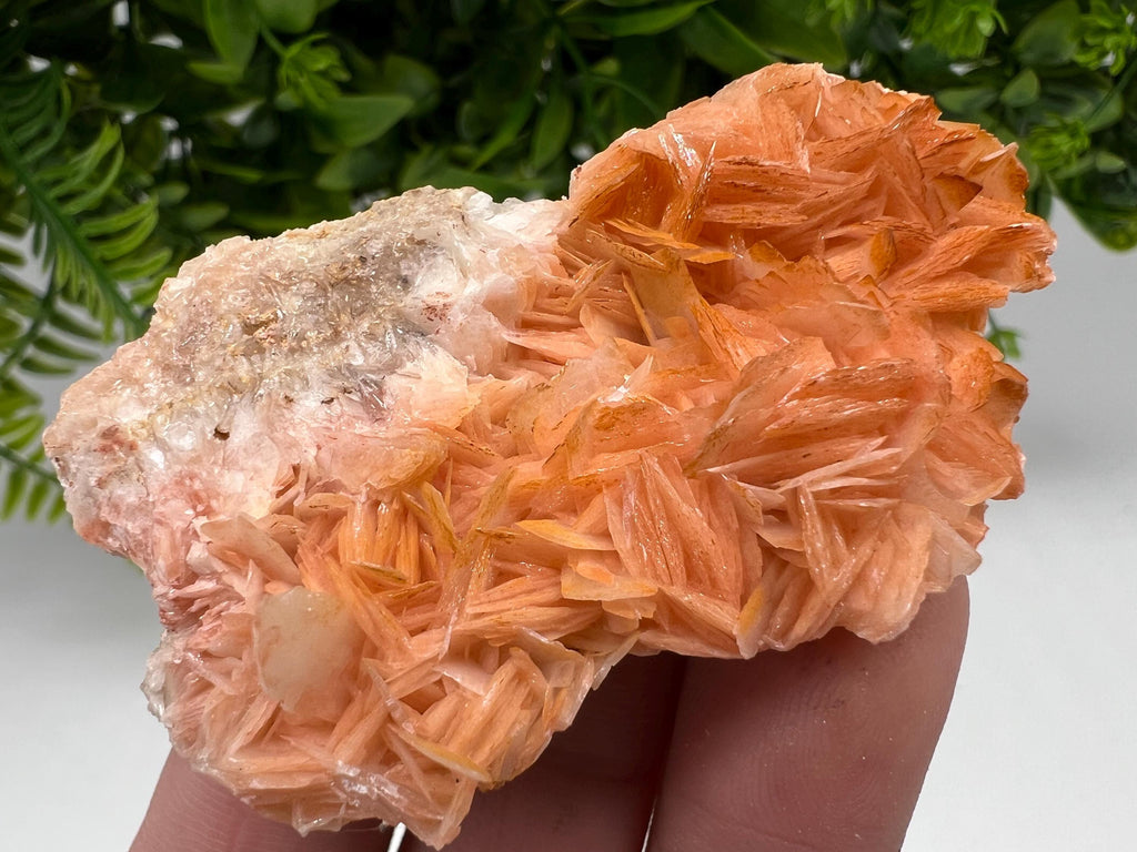 Wonderful Baryte with Cerussite on Galena from Morocco,Crystal, Mineral,Specimen,Cluster,Crystals,Barite Crystal,Cerussite Crystal,Specimen